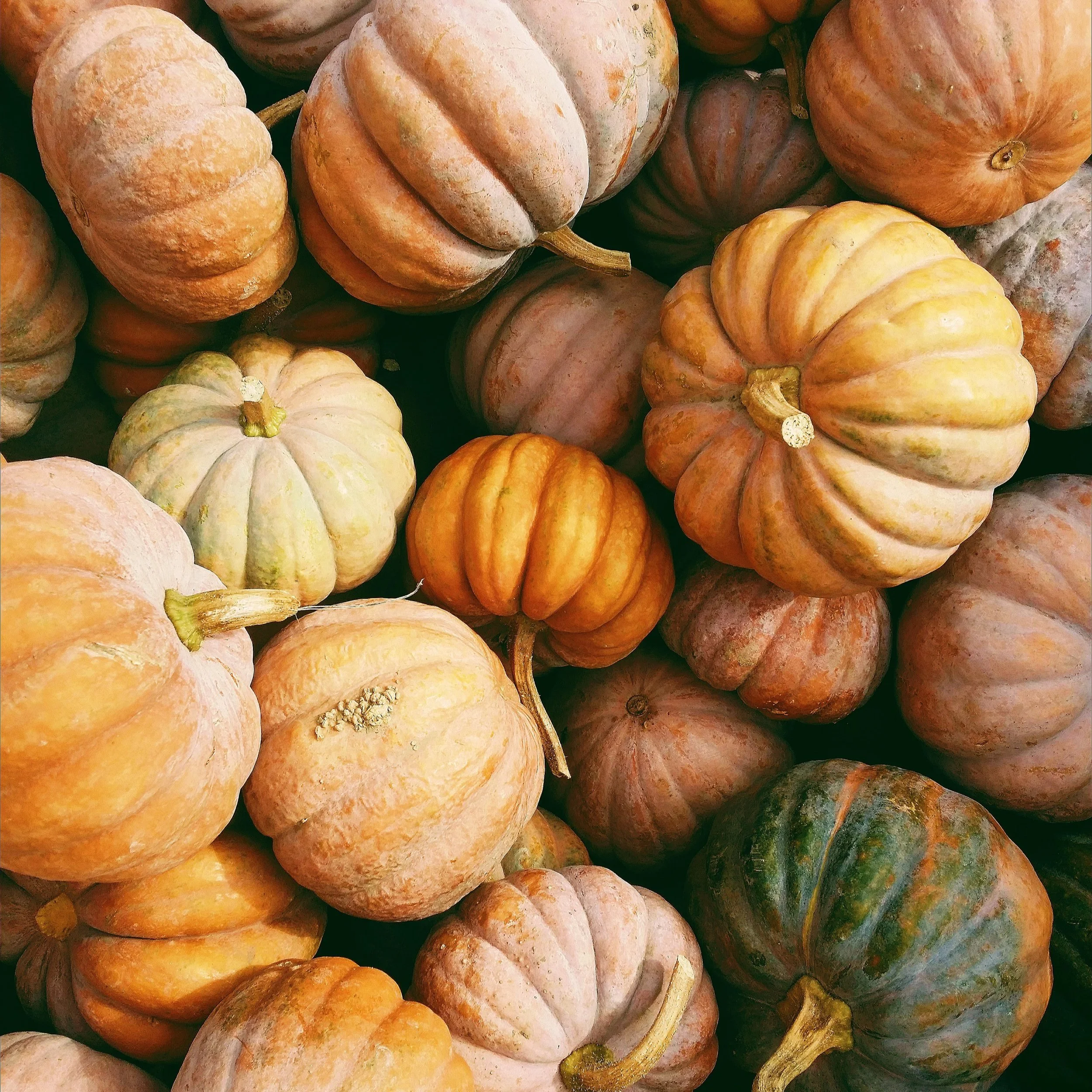 Thanksgiving Reservations &amp; Menu - November 24, 2022