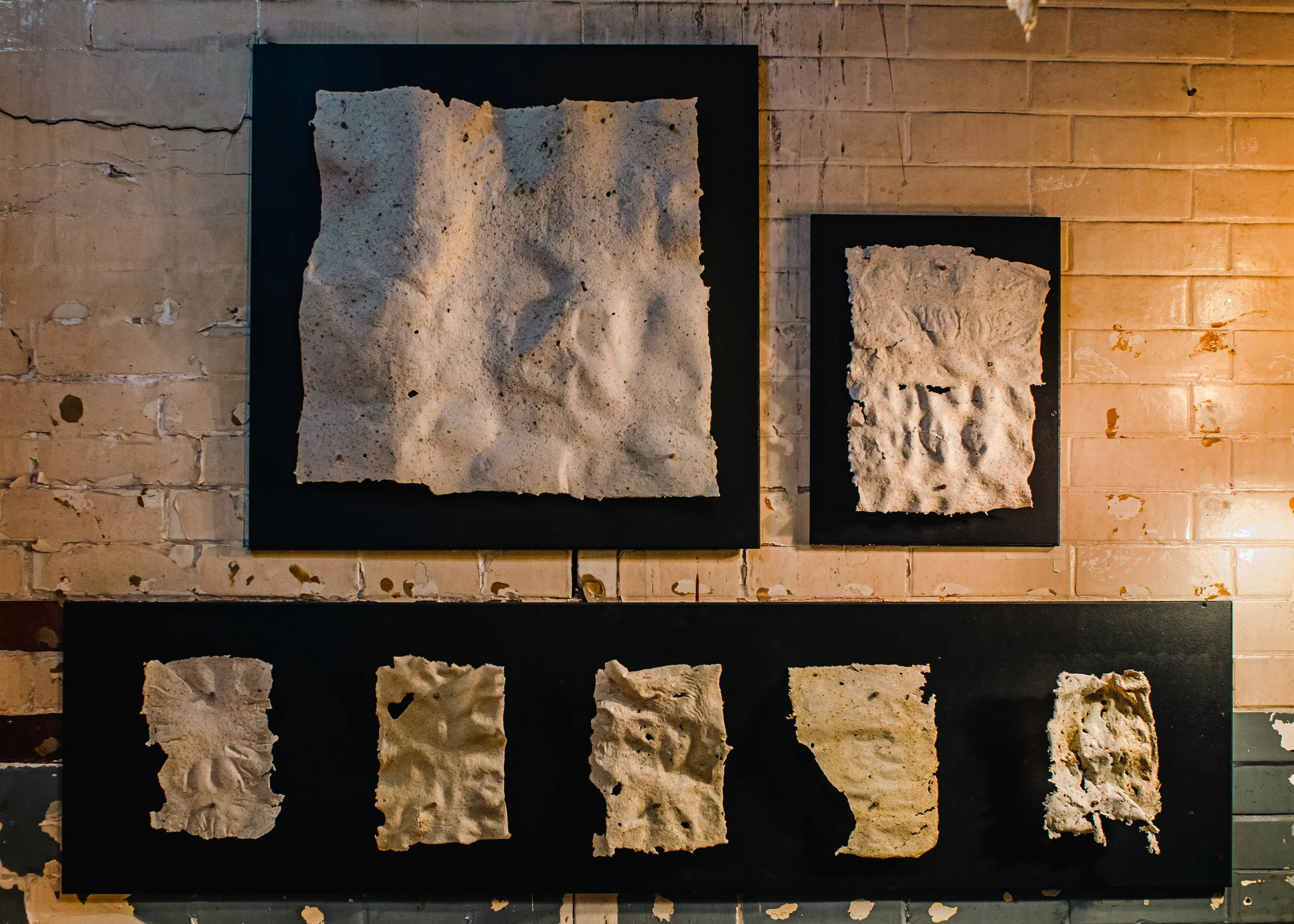 Copy of _DSC3094.jpg