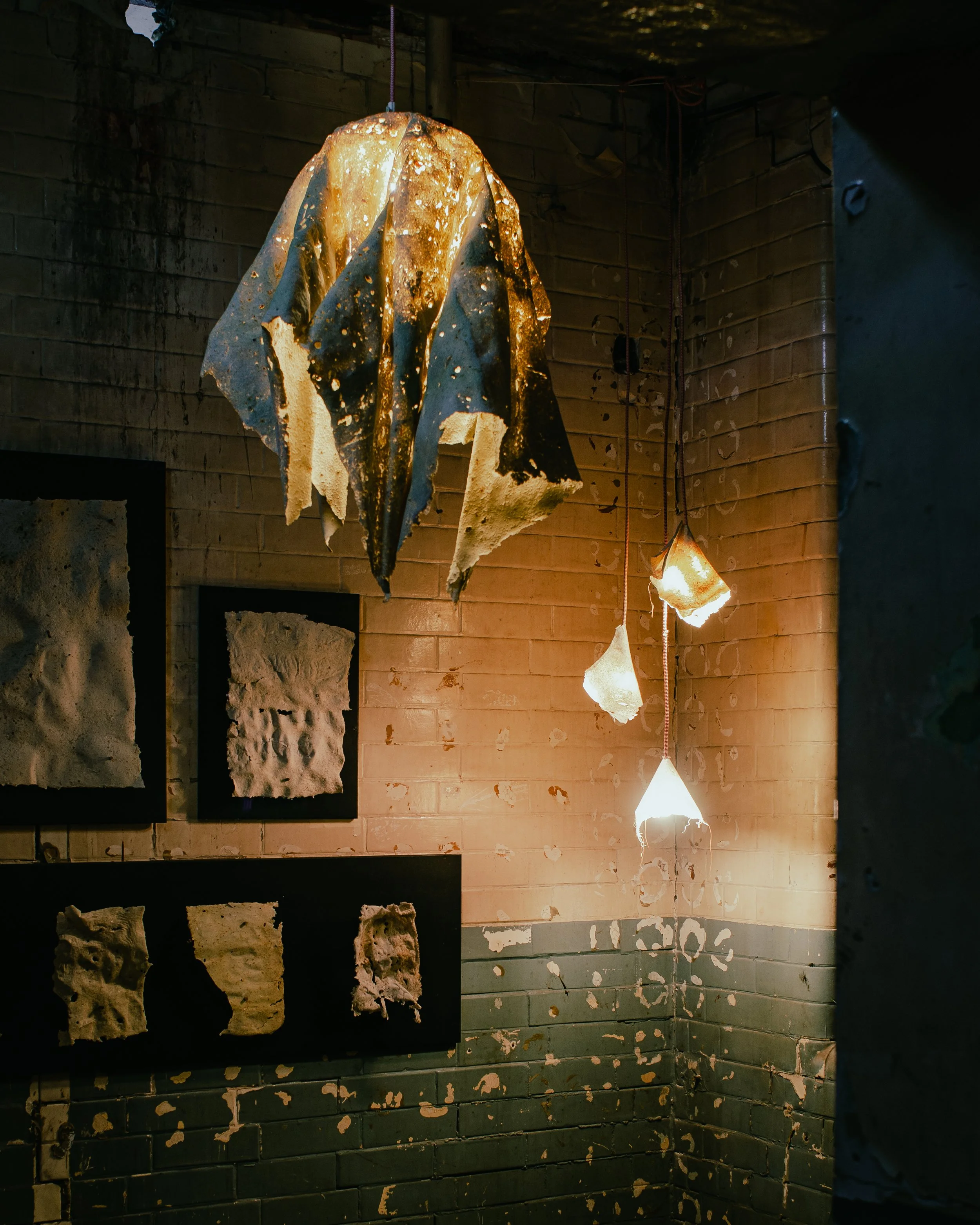 Copy of _DSC3074.jpg