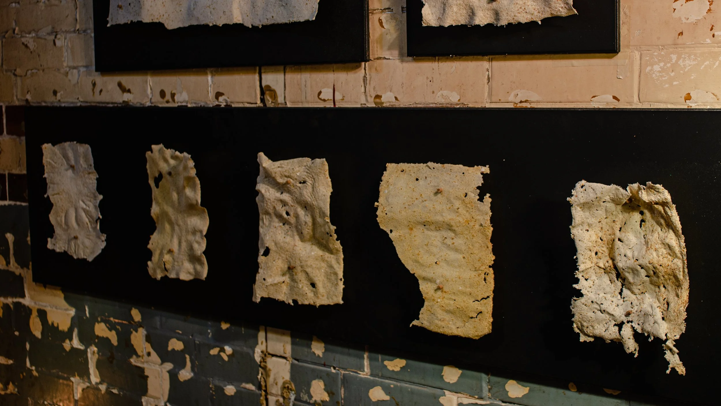 Copy of _DSC3091.jpg