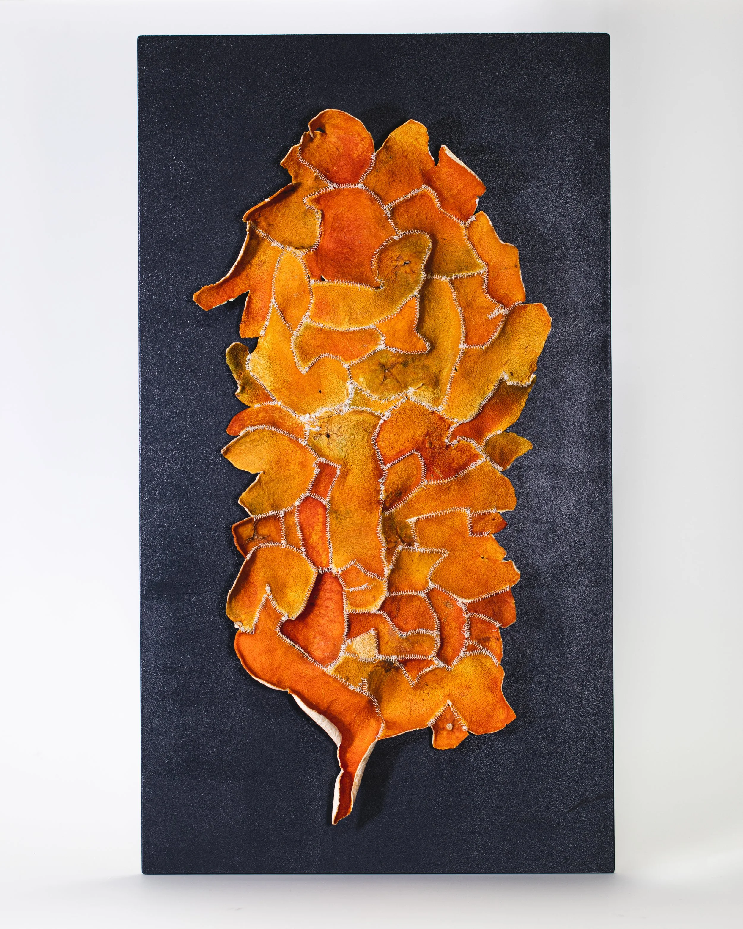 Alkesh Parmar APeel Skin.jpg