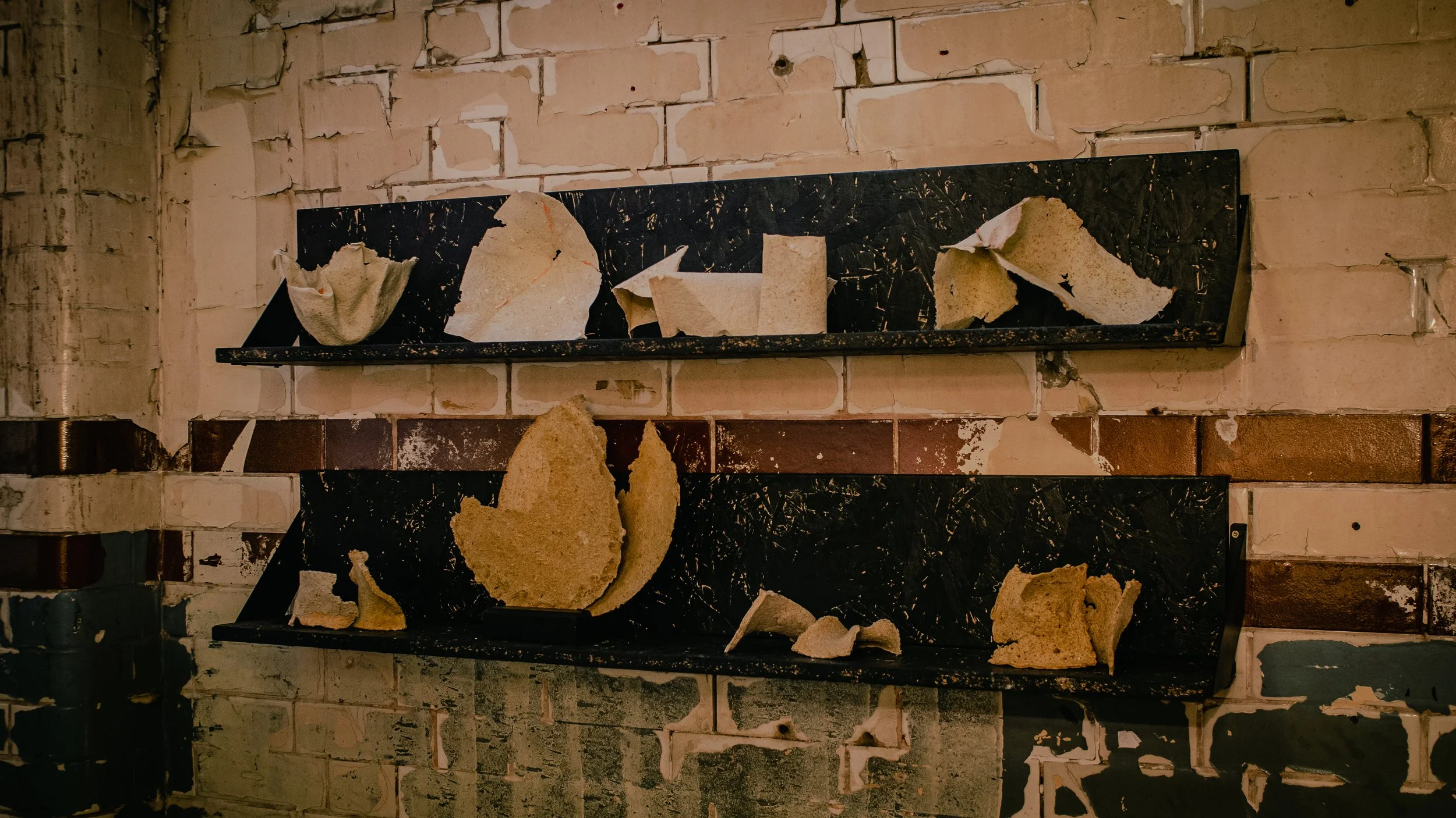 Copy of _DSC3090.jpg