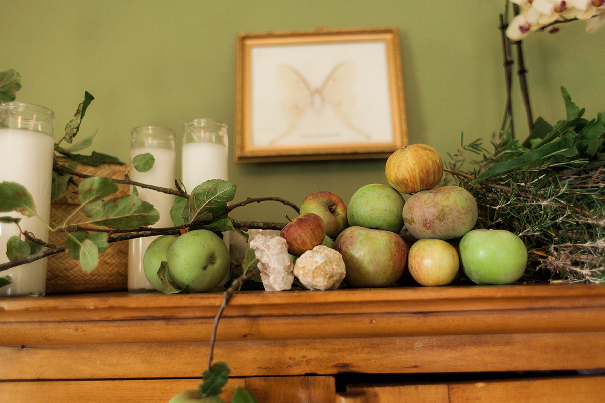 holistic health, menopause, Ayurveda, perimenopause, nervous system support, preventative health, diet and lifestyle