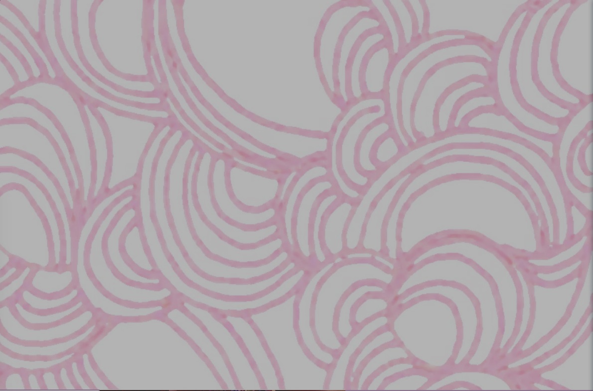 background2+copy.jpg