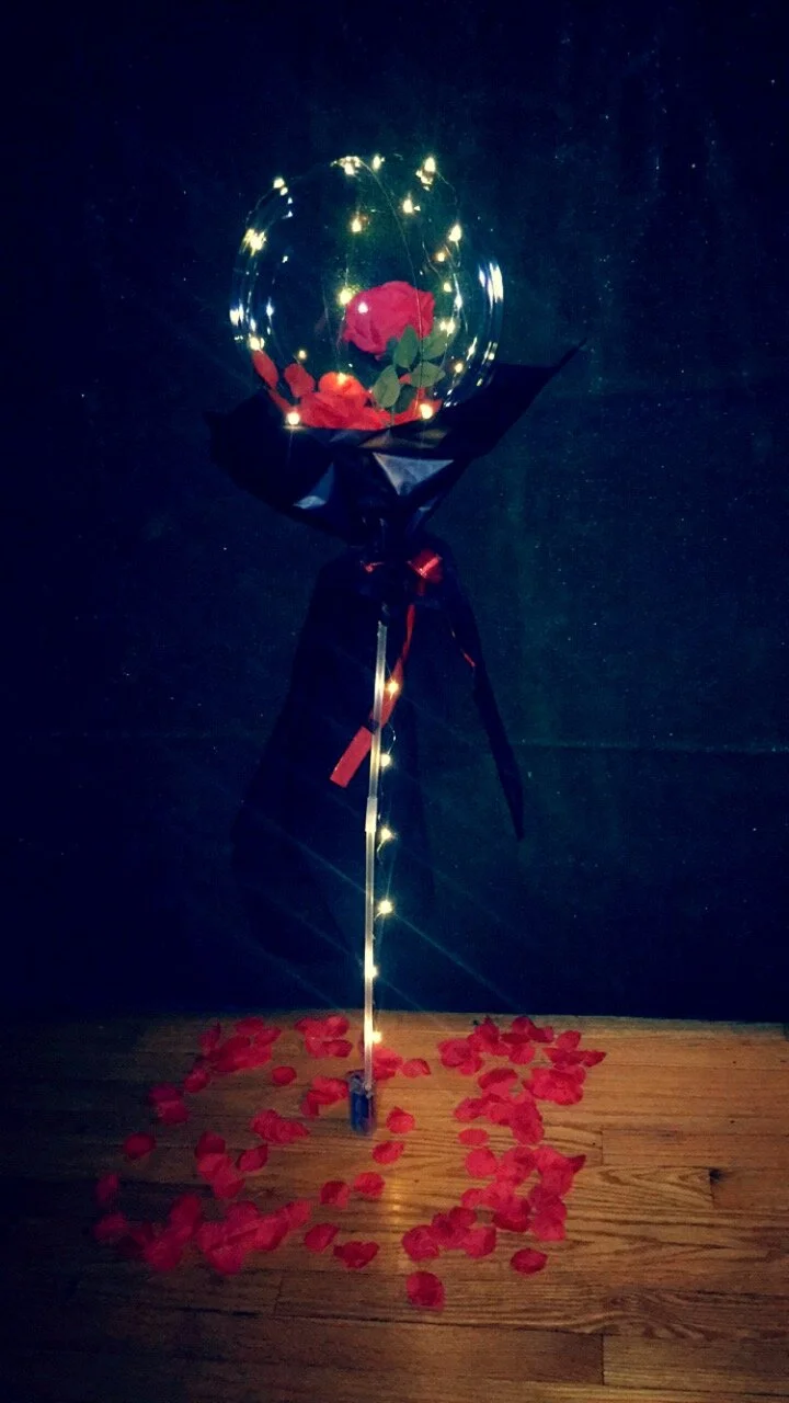 C31C4ED3-2064-4709-BA8E-F7CB7B769C94