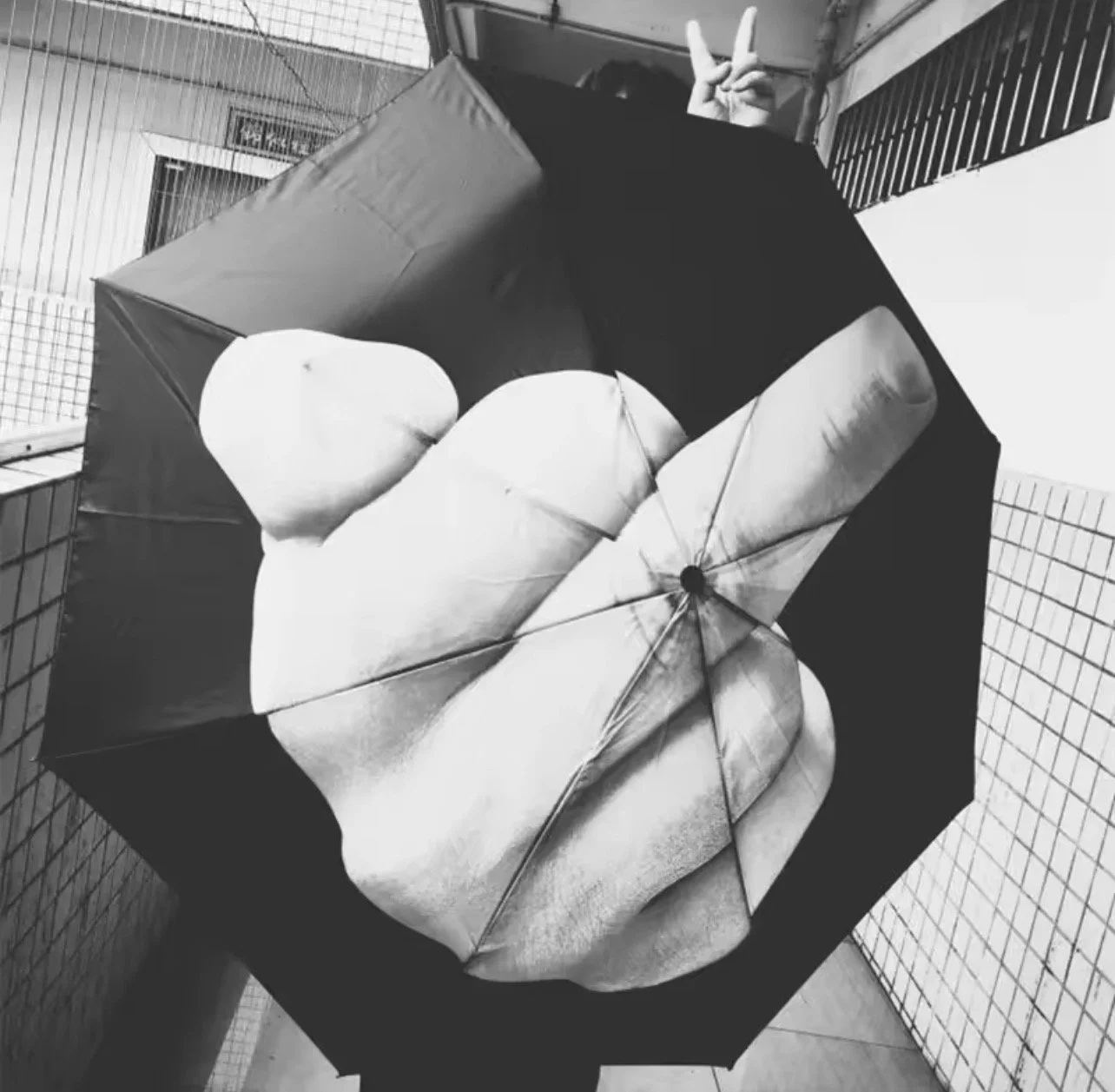 744D0715-51F7-4138-A7A7-007CBF3810E8.jpeg