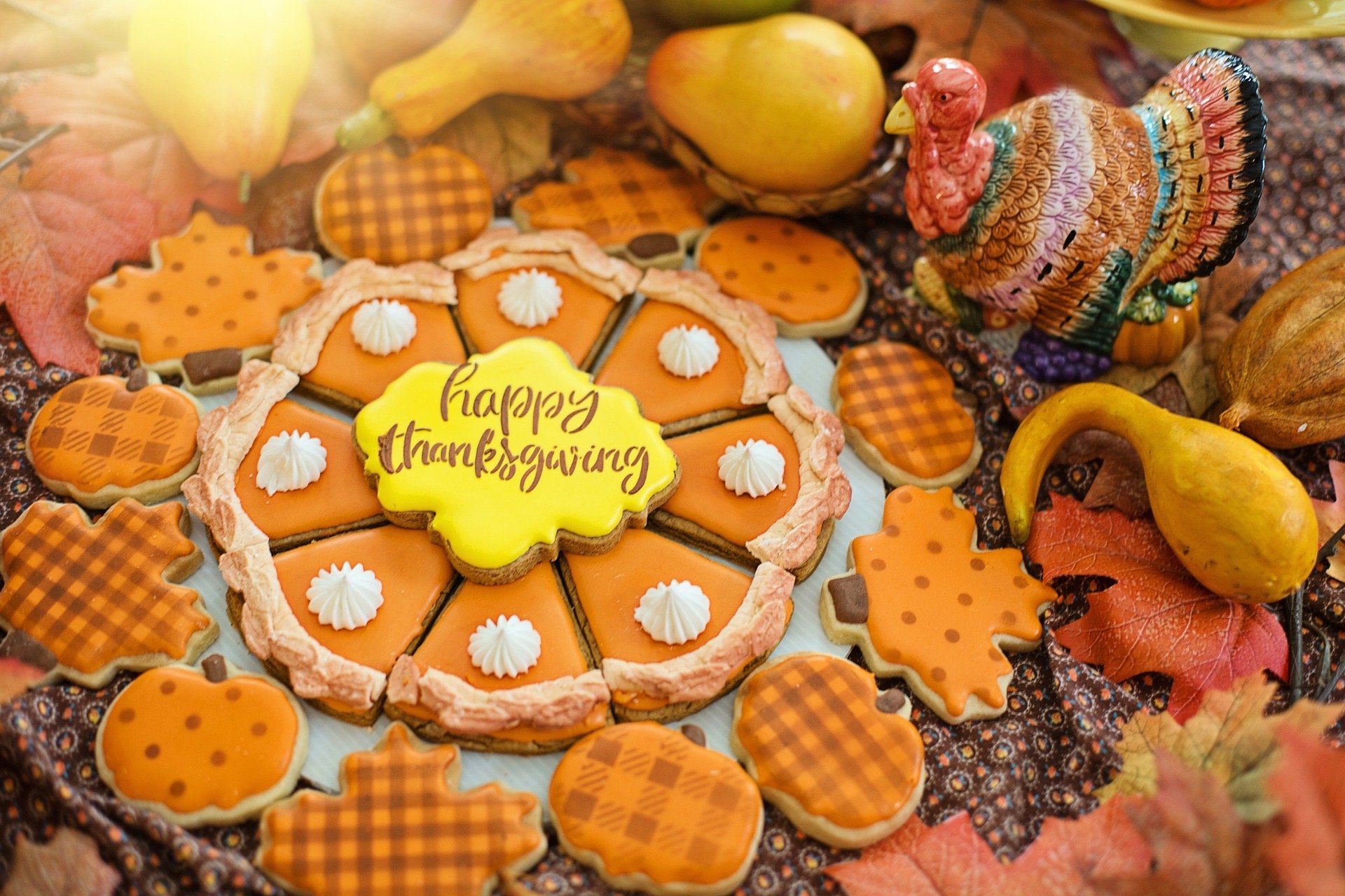 Fox Hill Gardens Thanksgiving Lunch Party