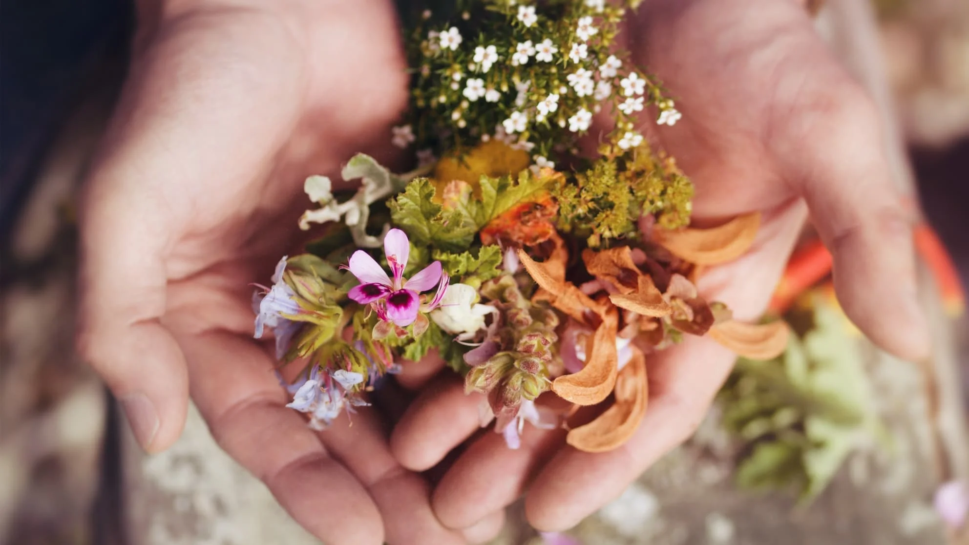 A Terroir Unlike Any Other in the World