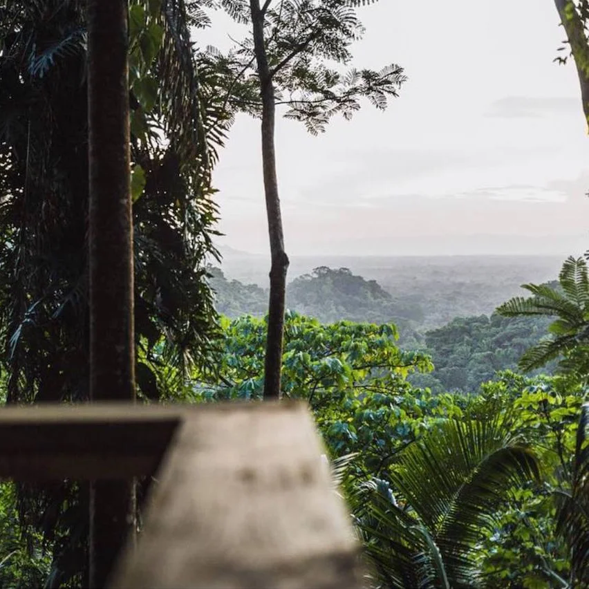 Copal+Tree+Lodge.jpg