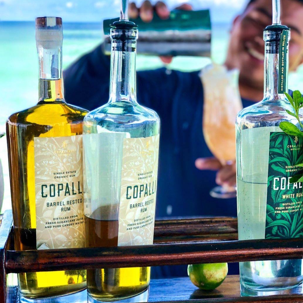 Copalli+bar.jpg
