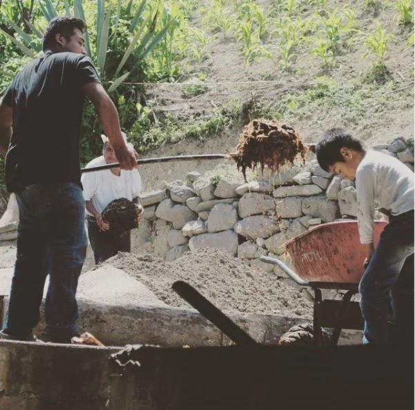 Three generations working for one batch