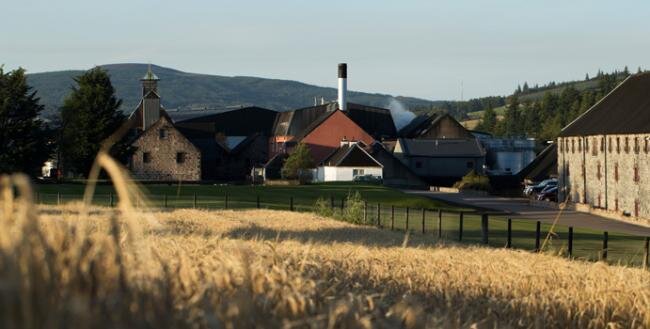 Day Drinking with David: A Visit With Balvenie - TUN 1509 Release