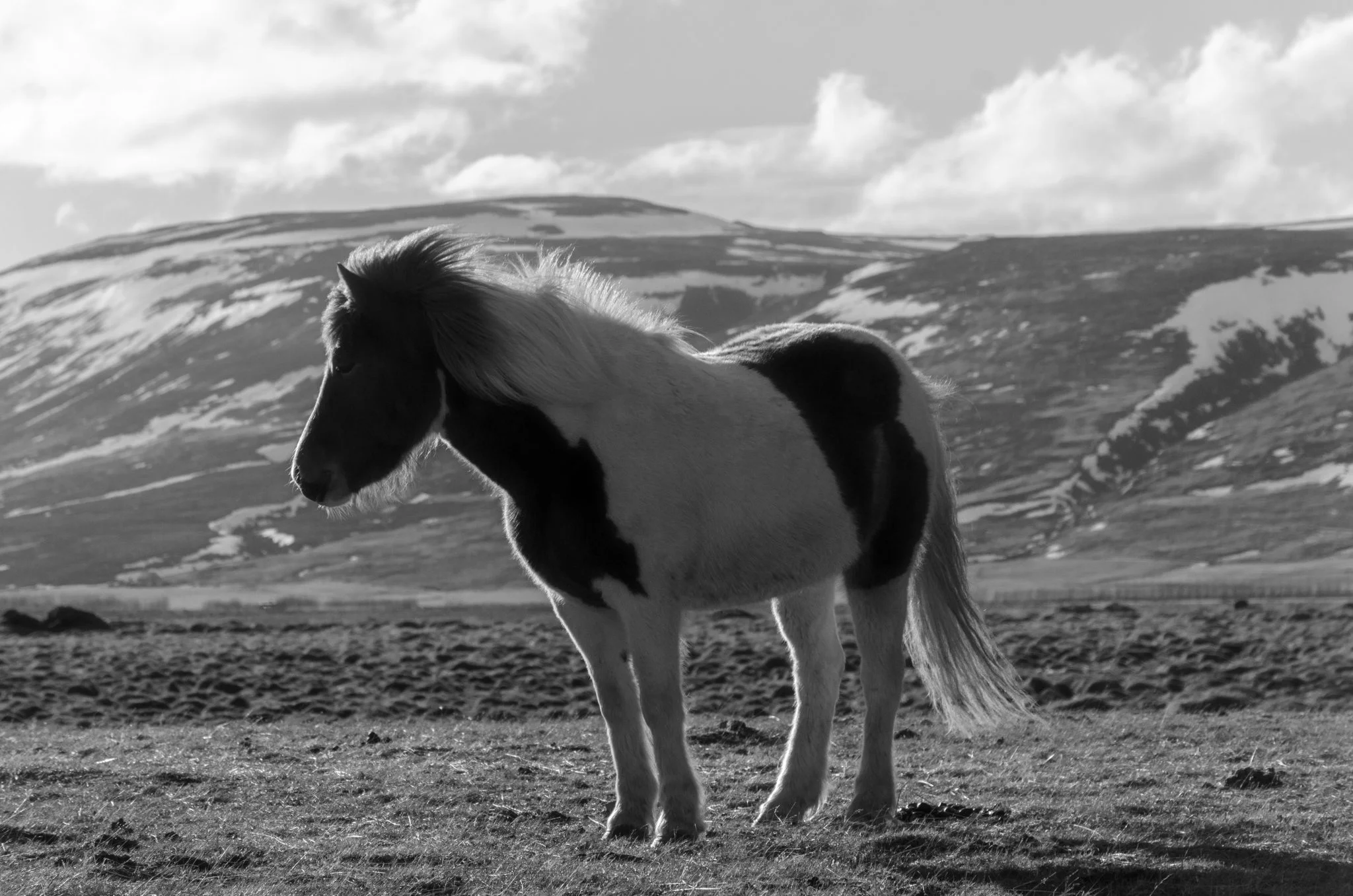 Iceland-March-04-2018-12-51-13-Edit.jpg