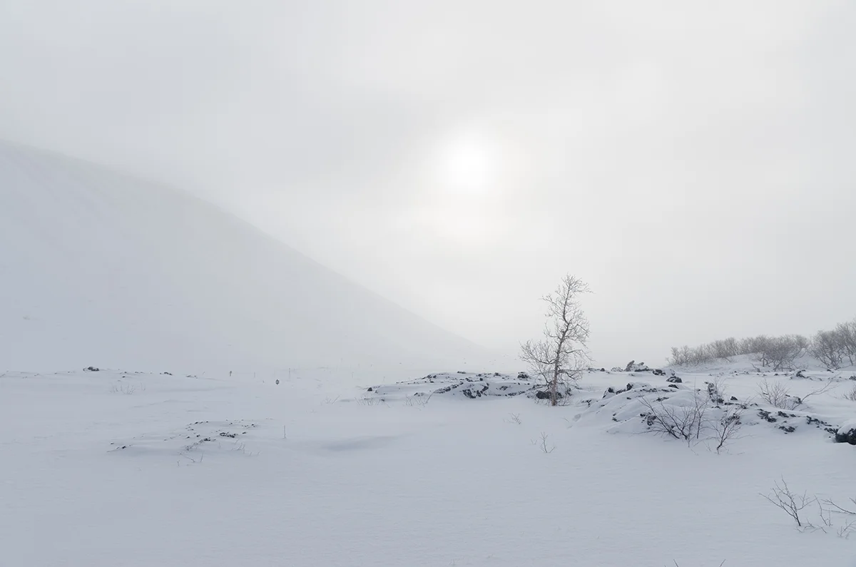 Tranquility in the Westfjords - © Mike Best