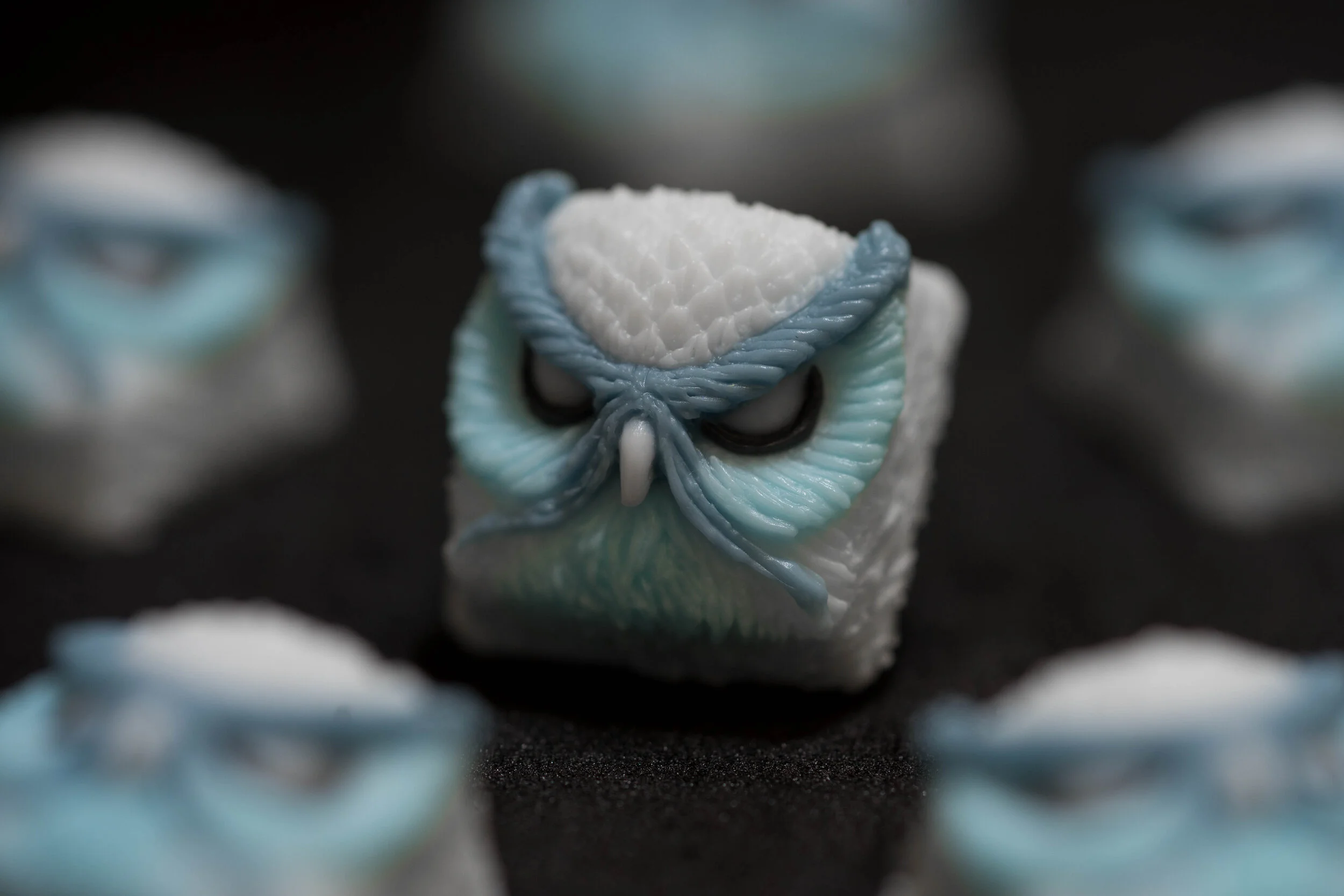 Gnatcatcher Keypora