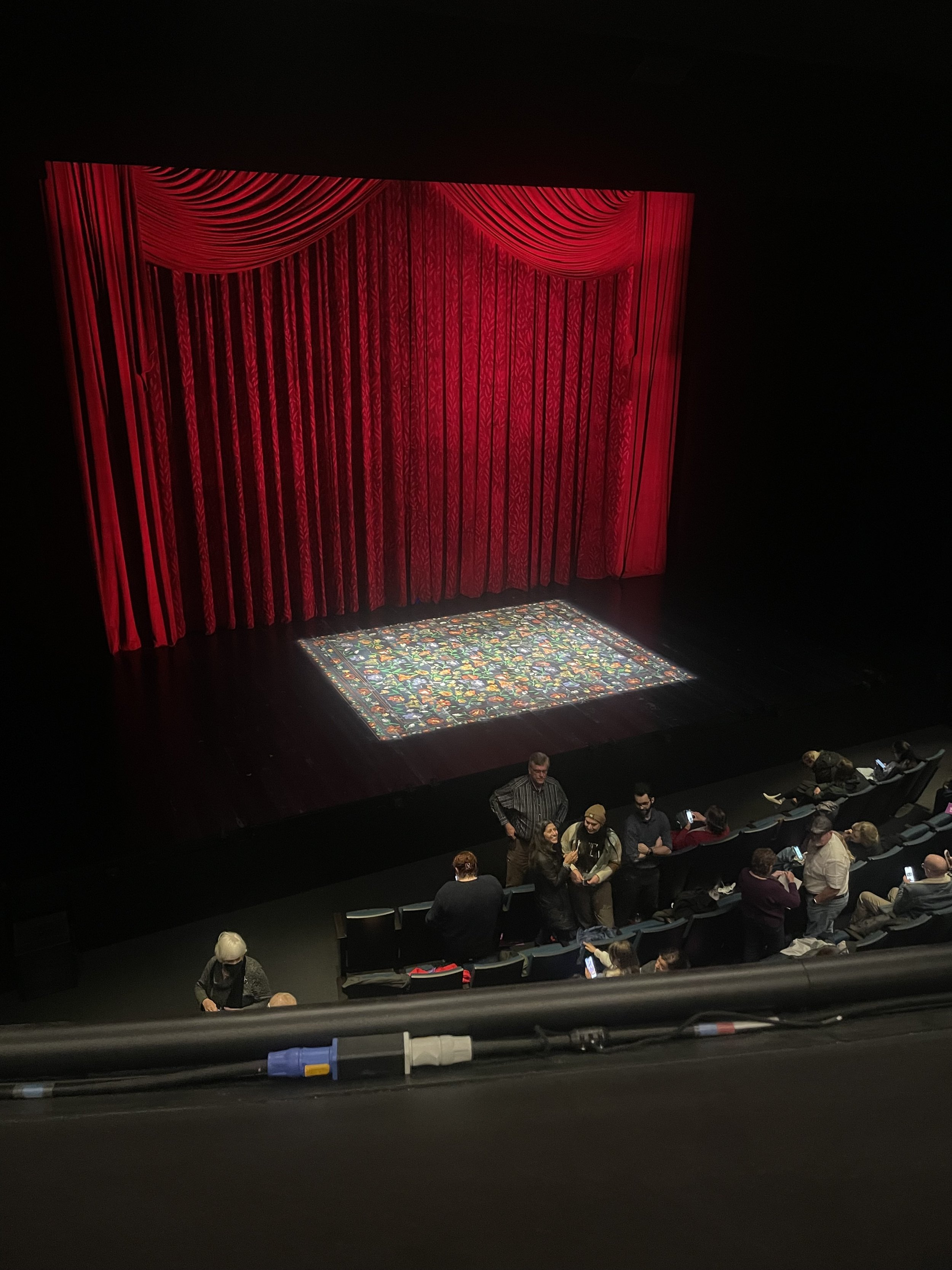 Painted Curtain and Carpet
