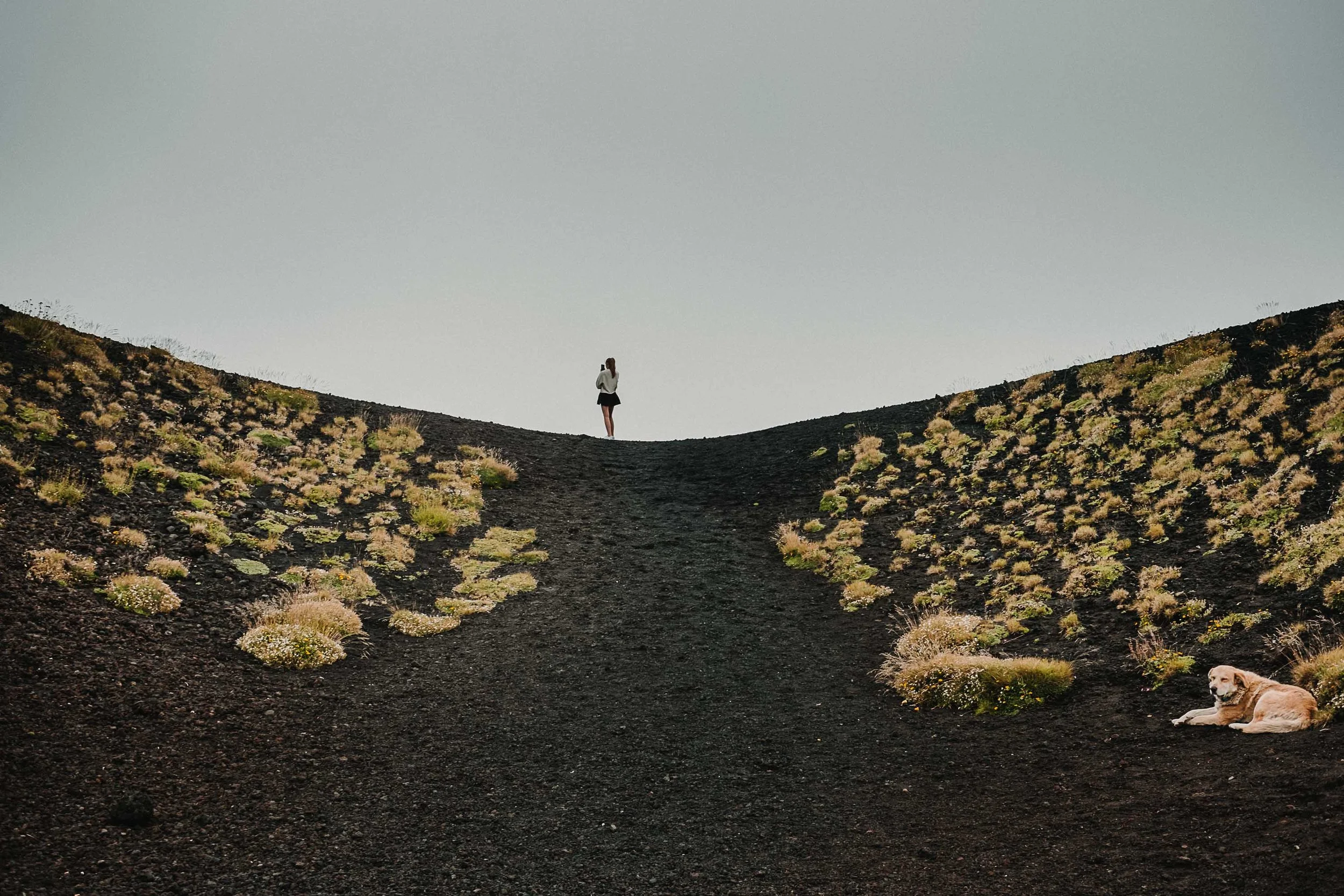 XT2A0450.jpg
