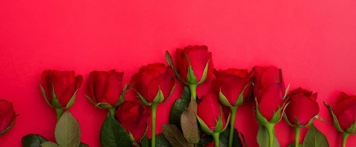 Ravinia Love Stories To Warm Your Heart