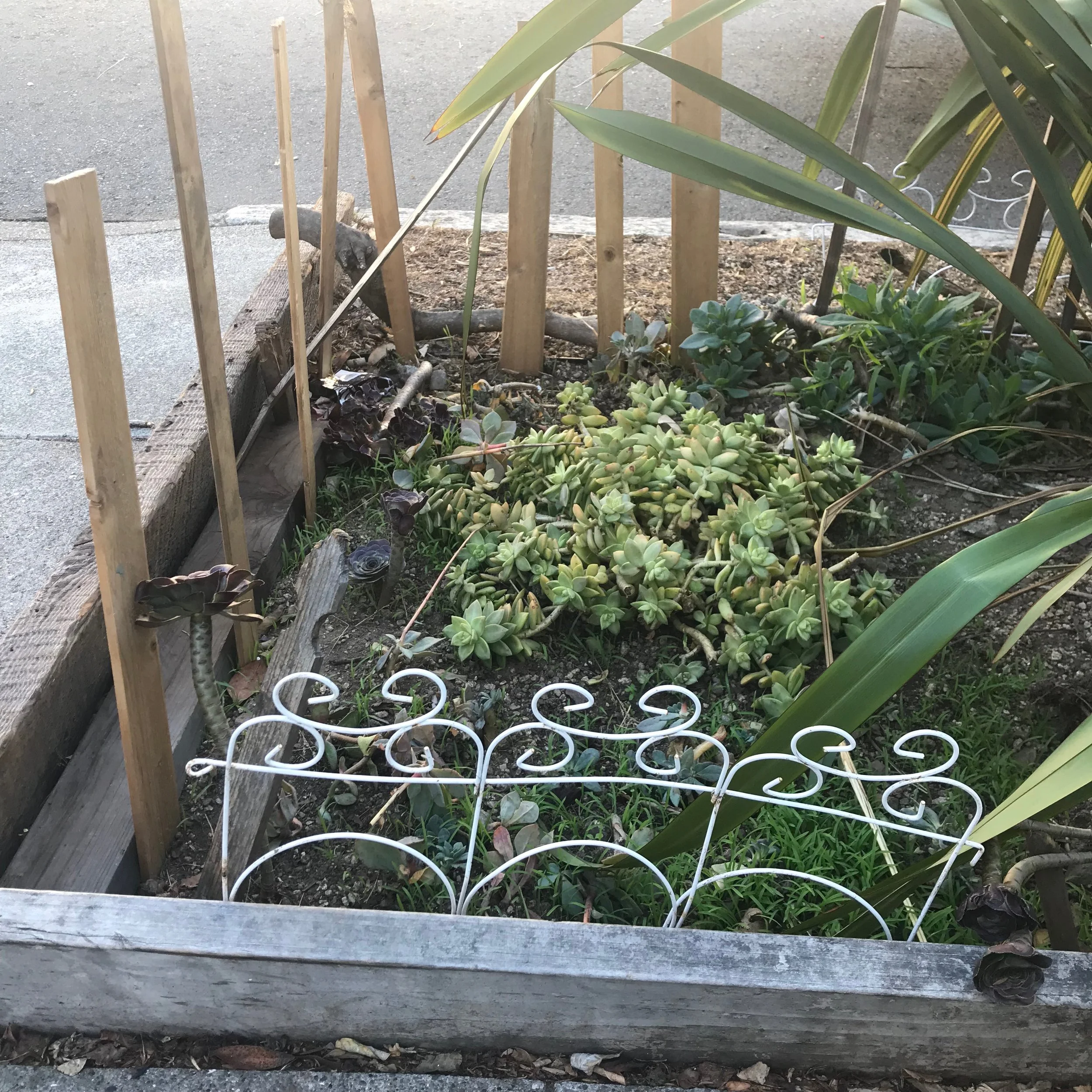 the Inspiration for my Bird Cage