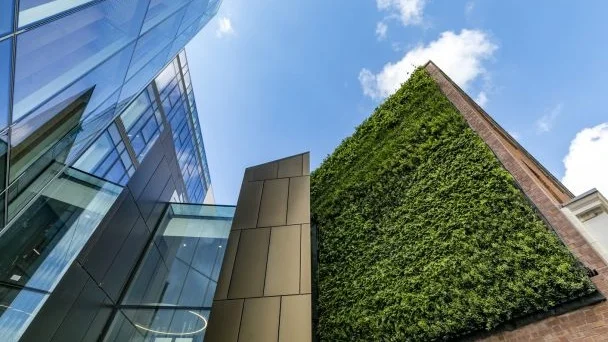 Trinity Business School