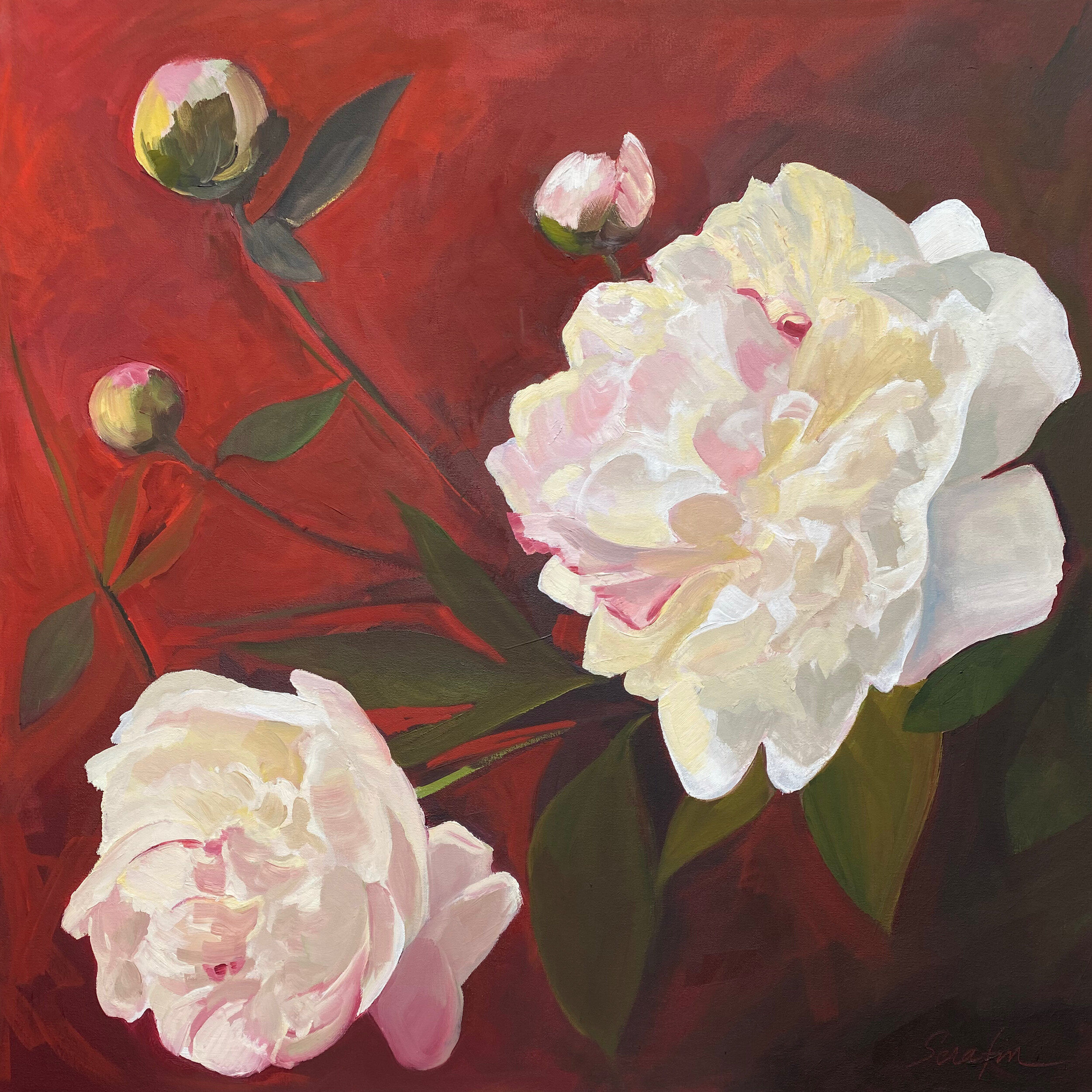 Peonies on Red