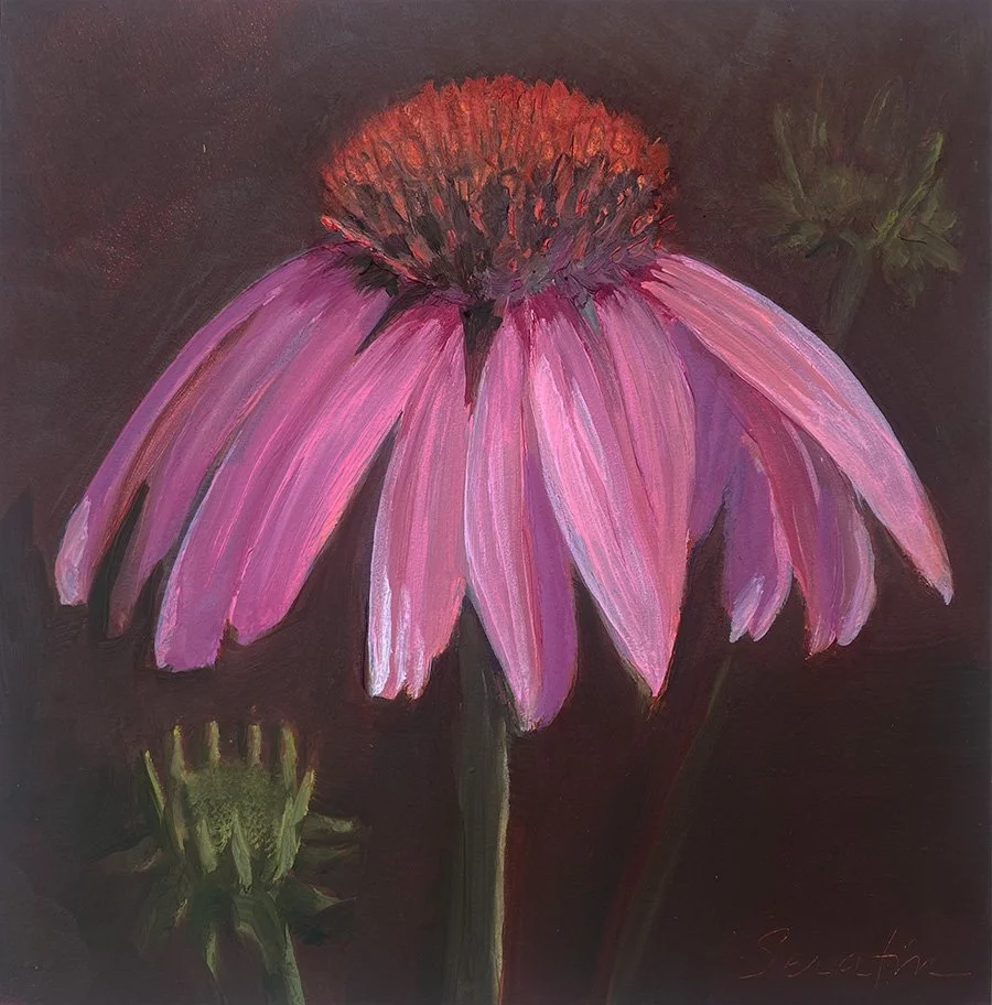 Cone Flower