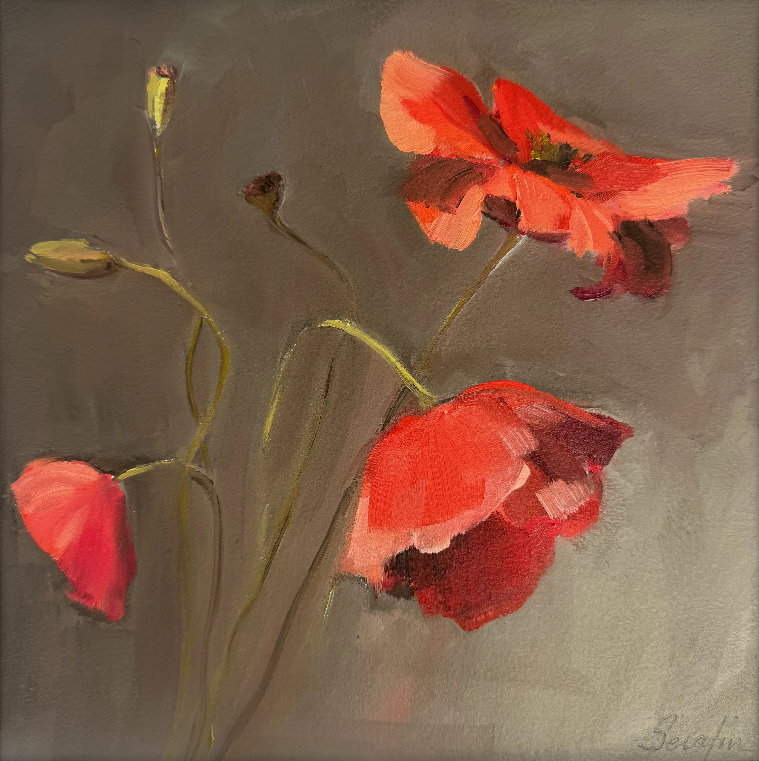 Poppy