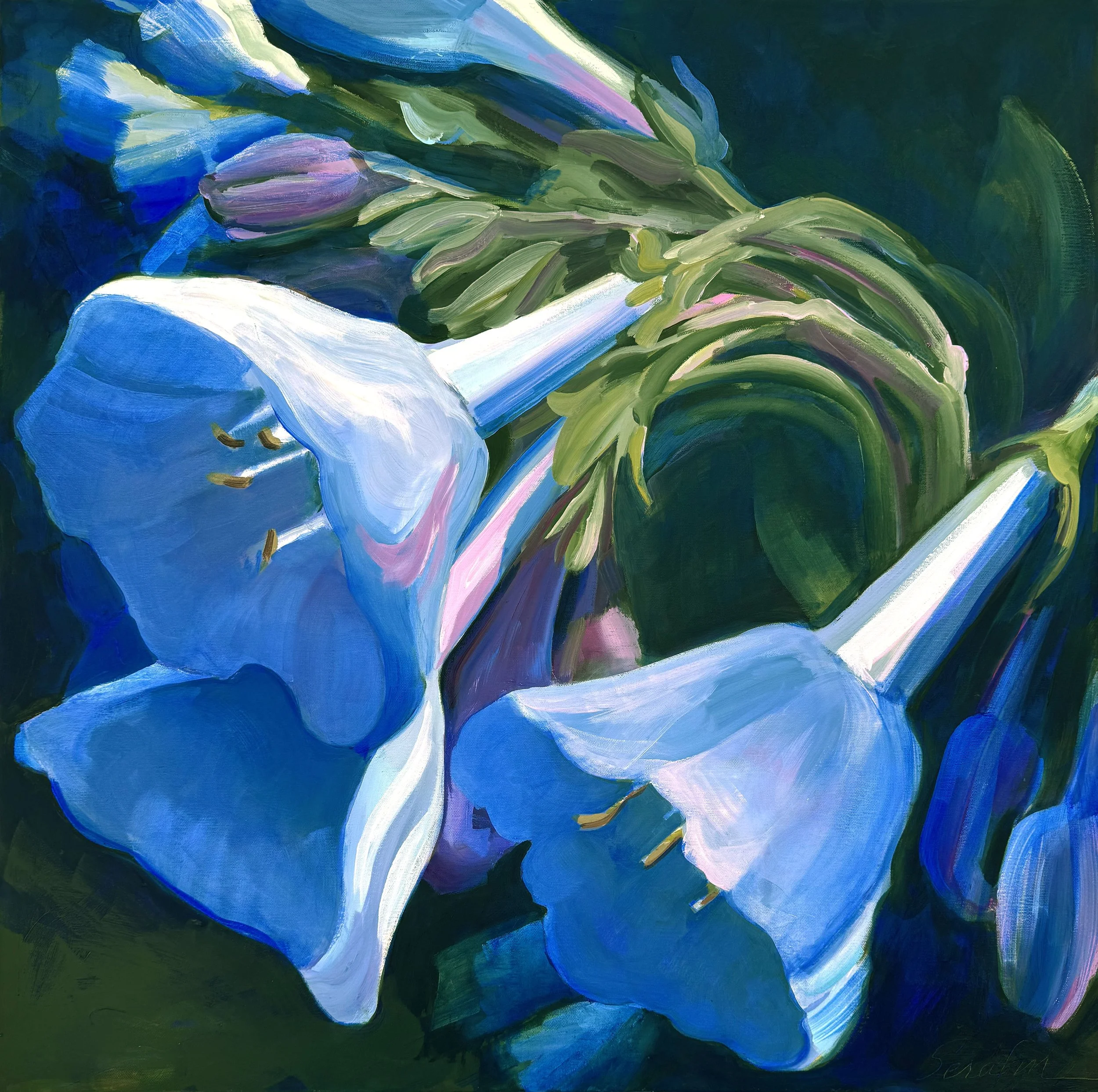 Bluebells