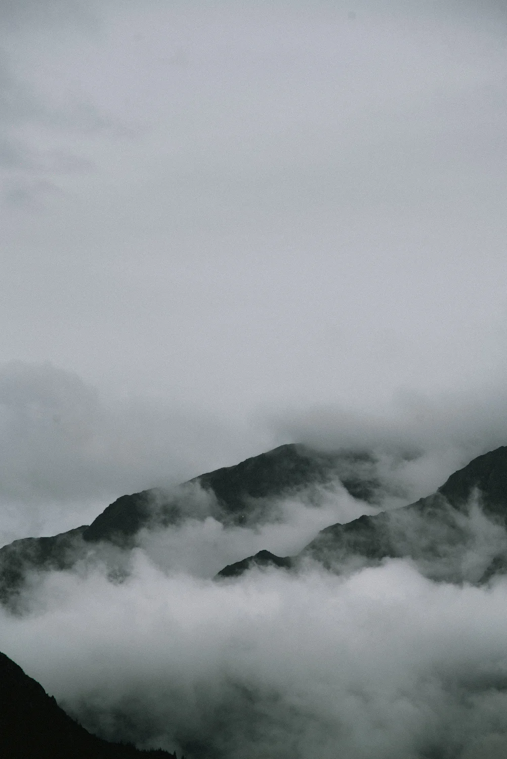 Misty Silhouettes - Seward, AK