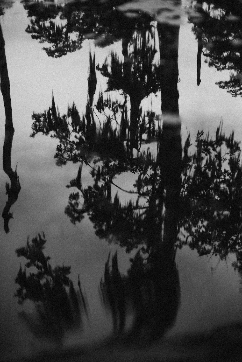 Lake Martin - Breaux Bridge, LA