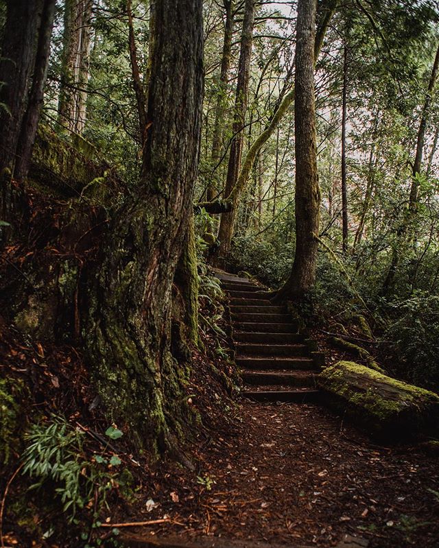 This awesome weather has me missing this beautiful hike in Cali.
.
.
.
.
.
.
.
.
.
.
.
.
#igers #instagood #instadaily #picoftheday #photooftheday #modernthrift #beautiful #createexplore #adventure #adventurevisuals #adventurethatislife #igtravel #le