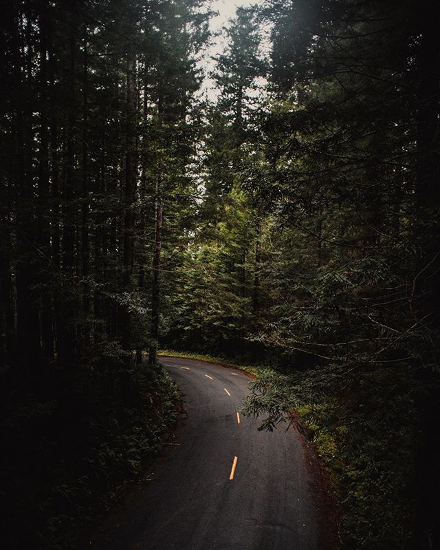 Dreaming of this drive today... #igers #instagood #instadaily #picoftheday #photooftheday #beautiful #socality #createexplore #igtravel #letsgosomewhere #capturedbyheart #wanderorwonder #wonderfolk #lookslikefilm #thegreatoutdoors #takeahike #wildern