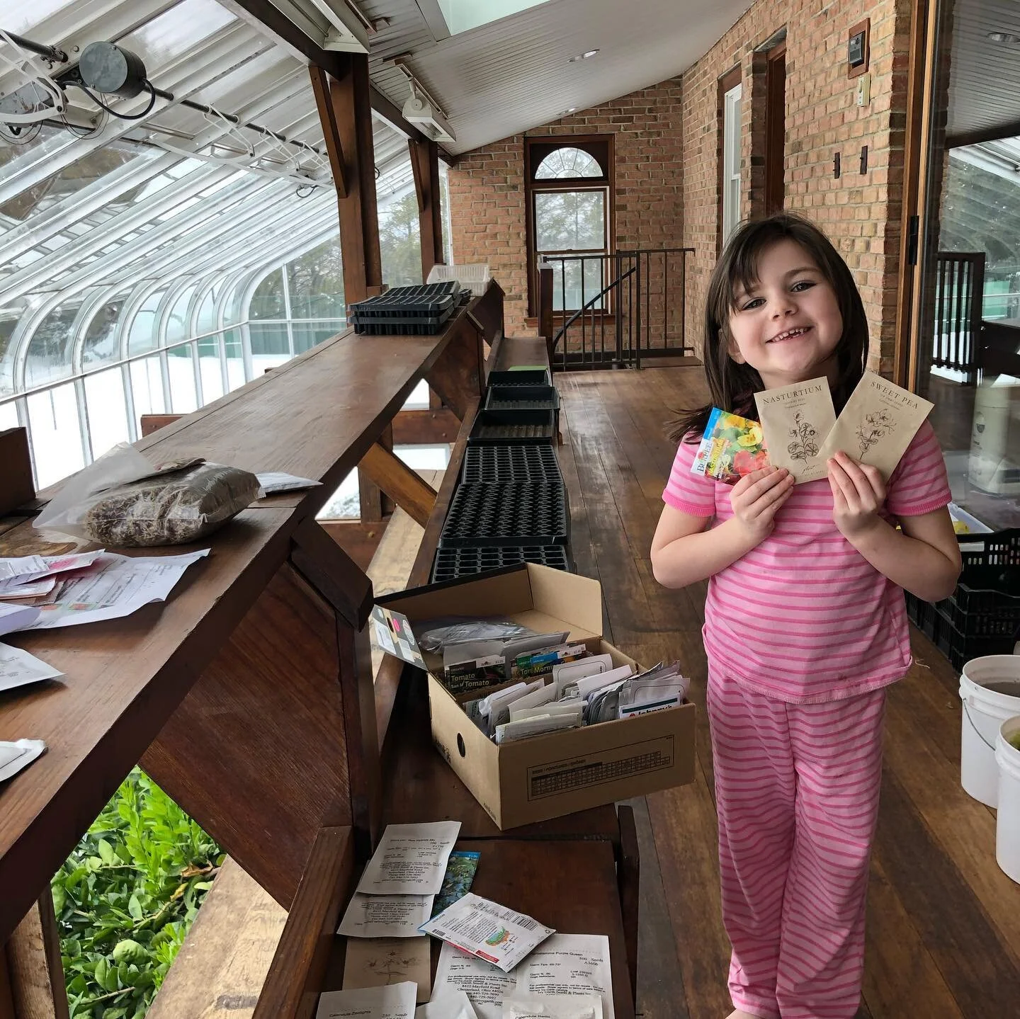 Welcome to our new two story greenhouse!  Finally digging into some of our seeds with my Sweet Pea!!! The previous owner was a mastermind to add seed tray shelves with built in lights.... showing you a view from above of some of the lemon and kumkwat