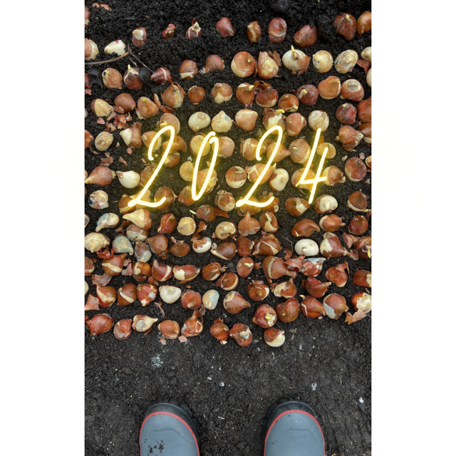 Growing..... 2024