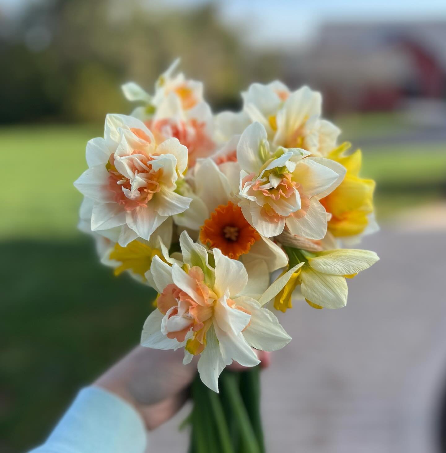 Have a few $15 sweet smelling 💐 bouquets out today if you are on the drive by!  Enjoy this beautiful day!! Xoxo @2560 Mill Creek Road #frescheflowers