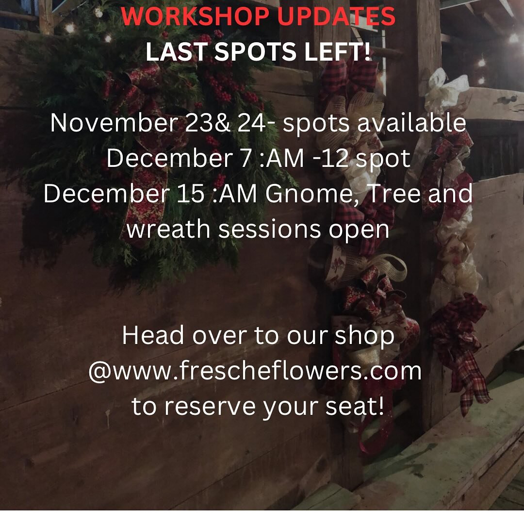 Last of our workshop spots left!  We are also introducing our gnome tree and birch tree session in December 15th in the AM in case you would like something other than a wreath! Happy Holidays everyone!