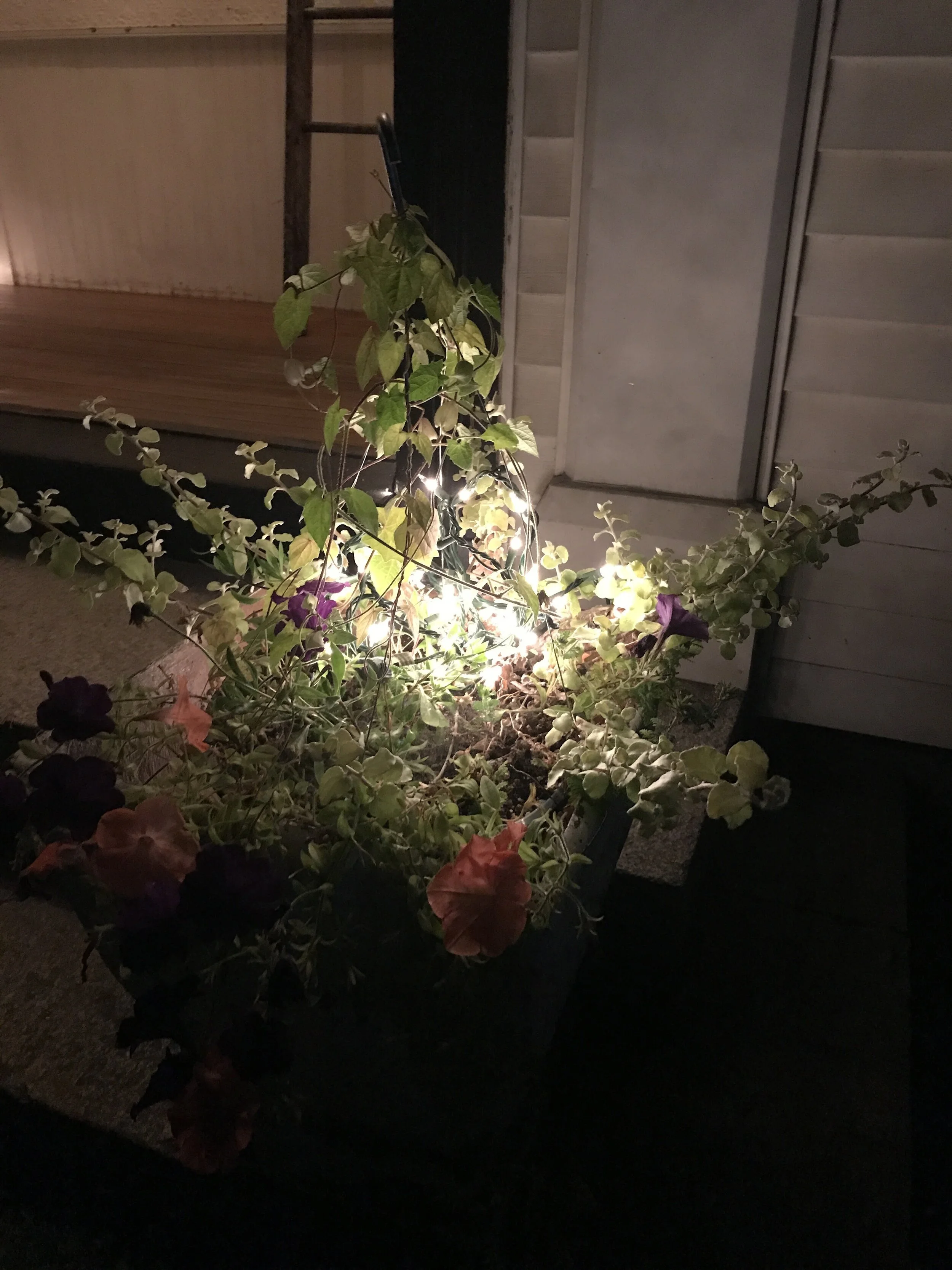 Great location! Lovely House!