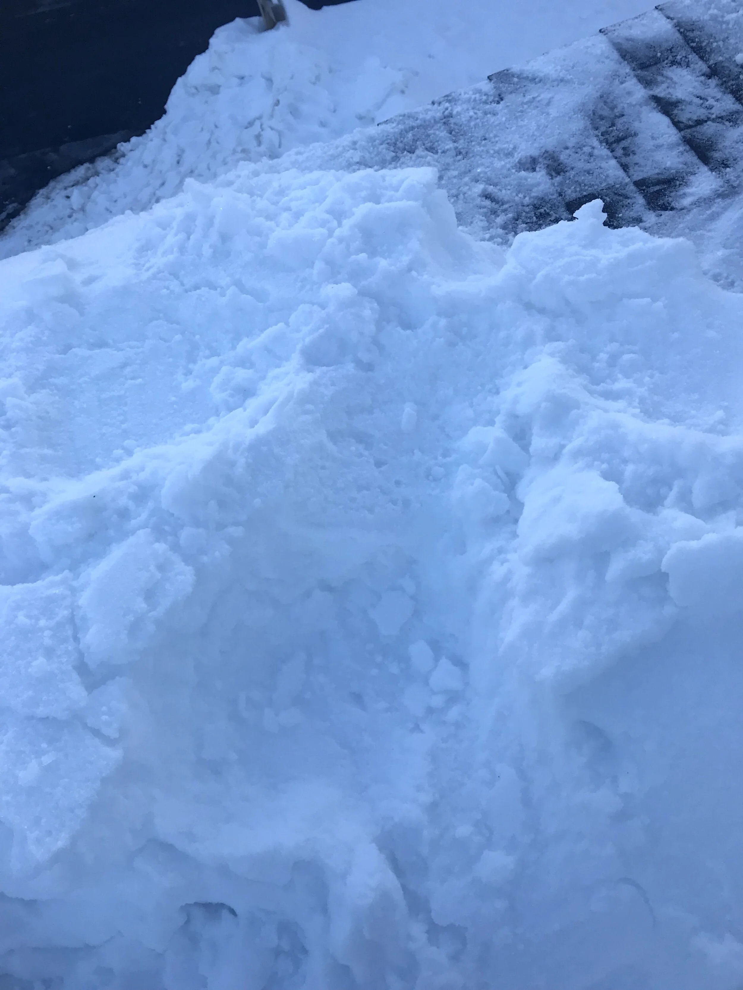 Thank you for sharing your home with us!