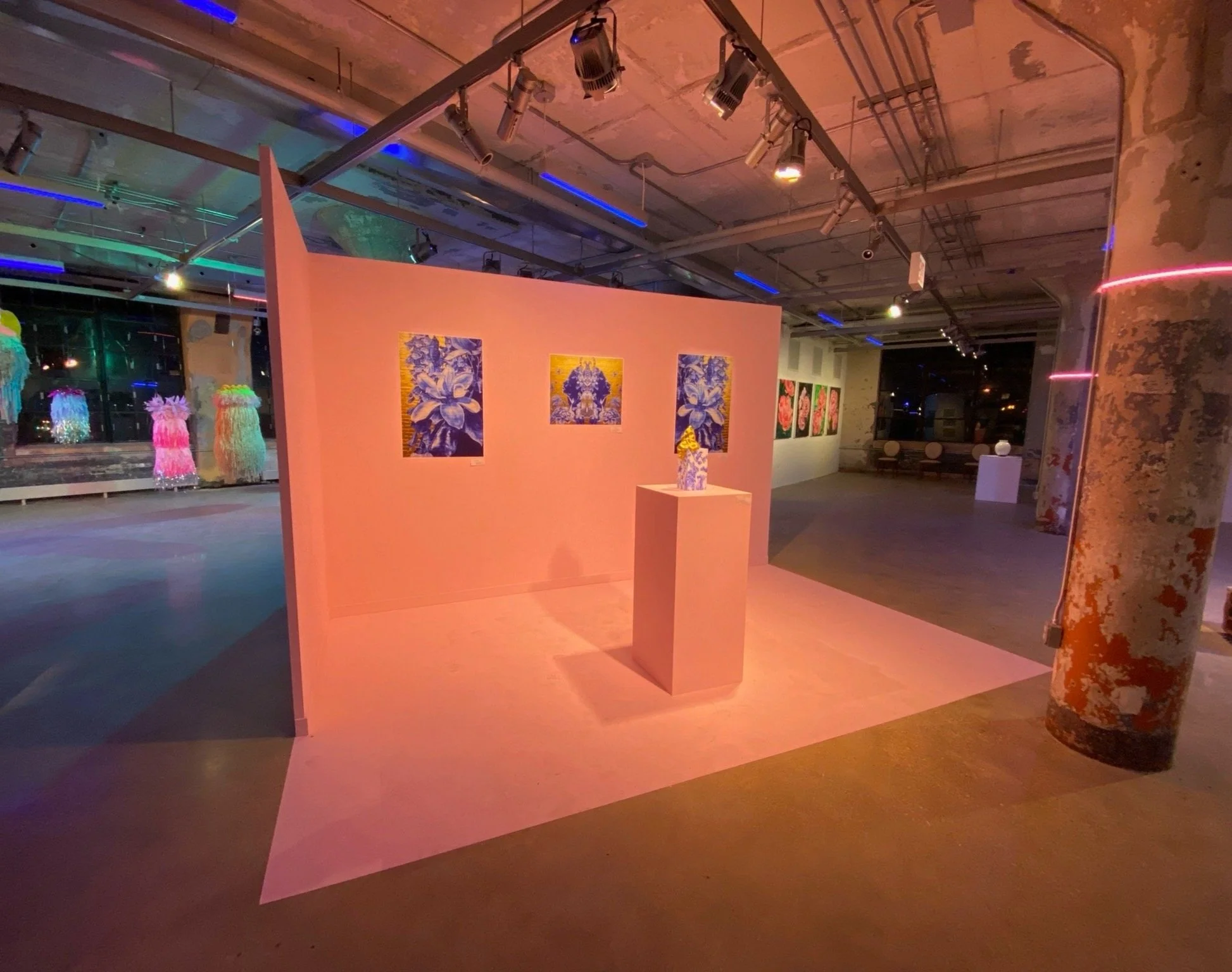  Installation by Anna Murphy 