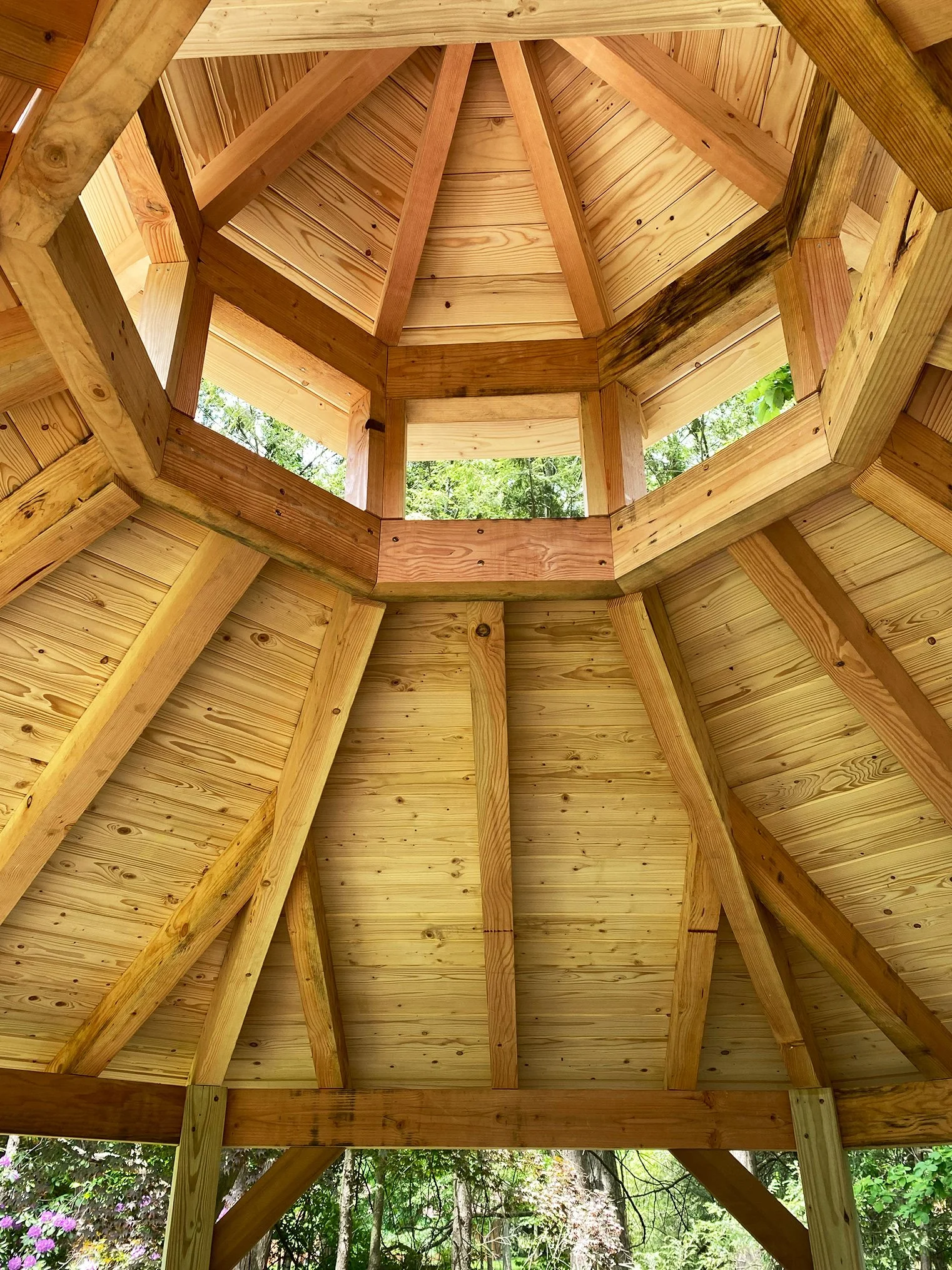 roof.jpg