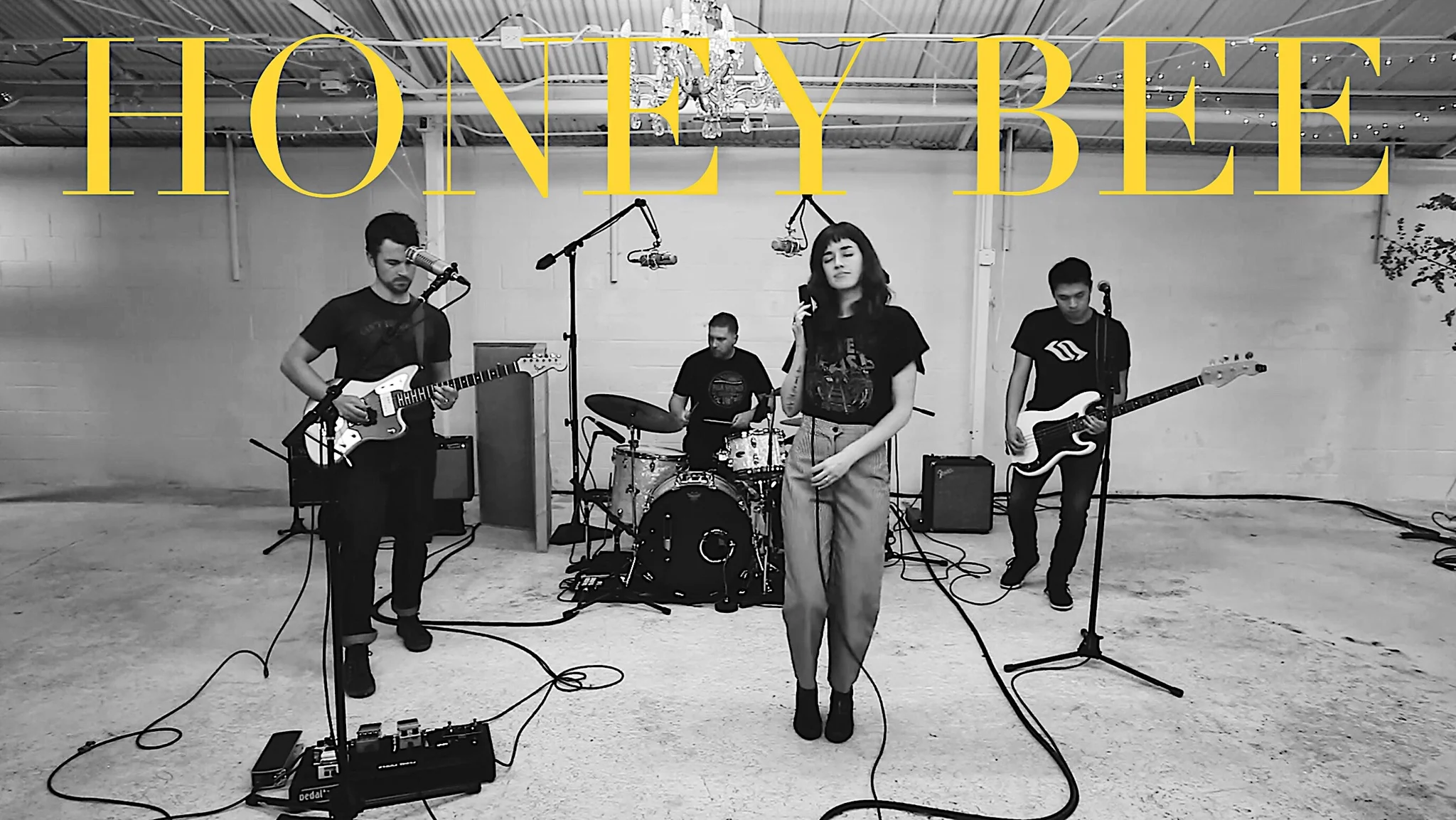 "Honey Bee"- Live