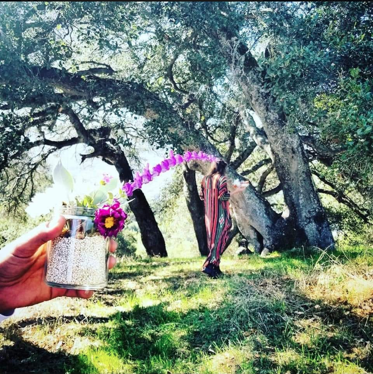 Elemental Herbal Medicine Immersion- May 8, 2019