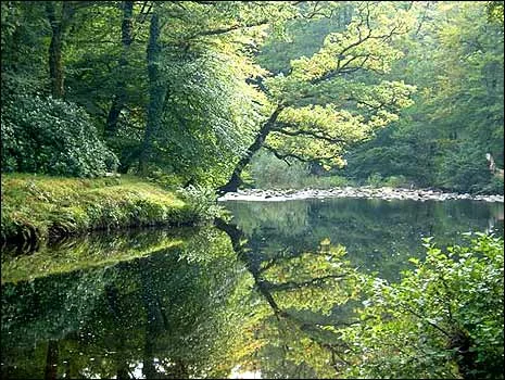 Community Grief Ritual: March 31, 2019