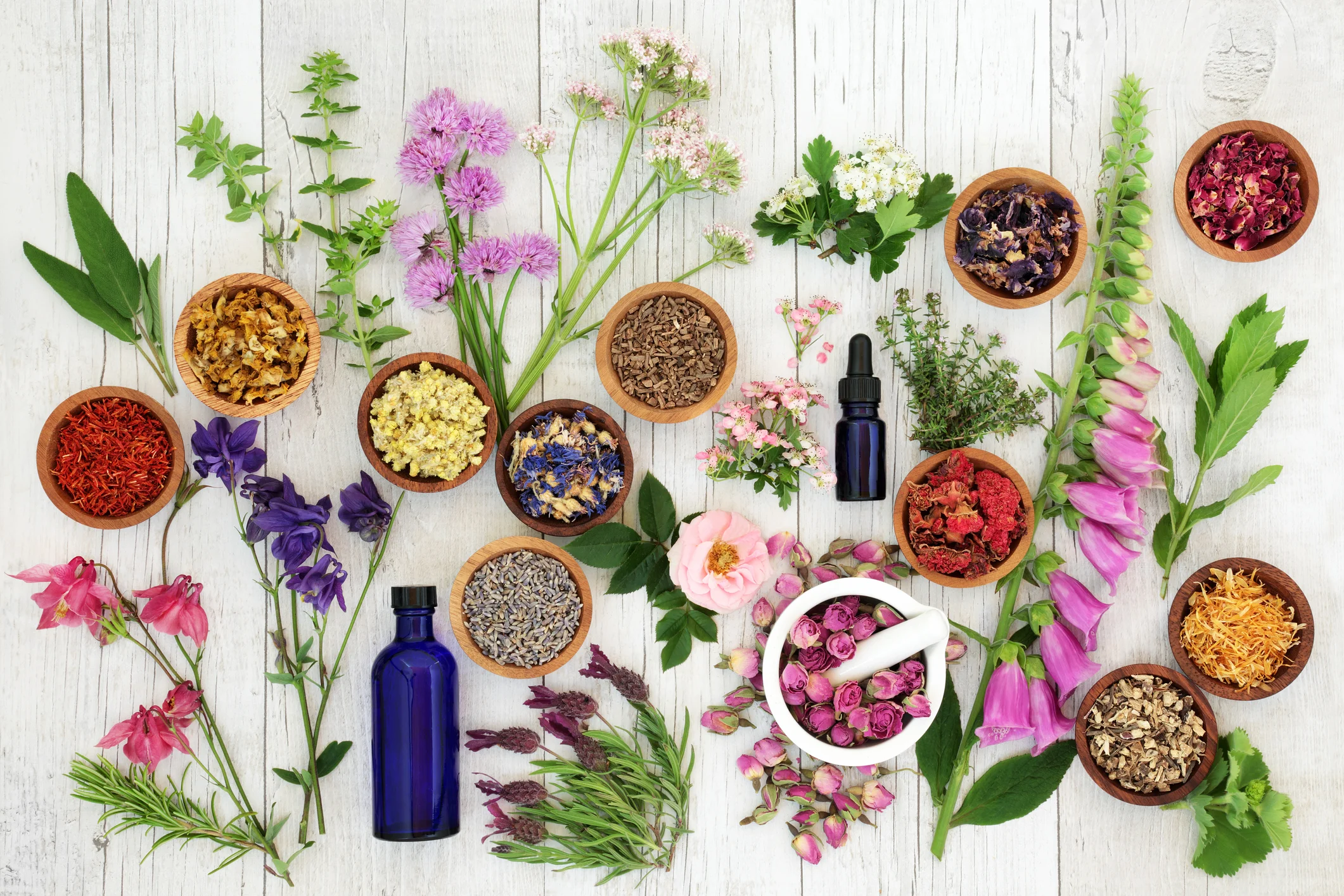 Home Medicine Making: Crafting Your Personal Apothecary, March - May 2020