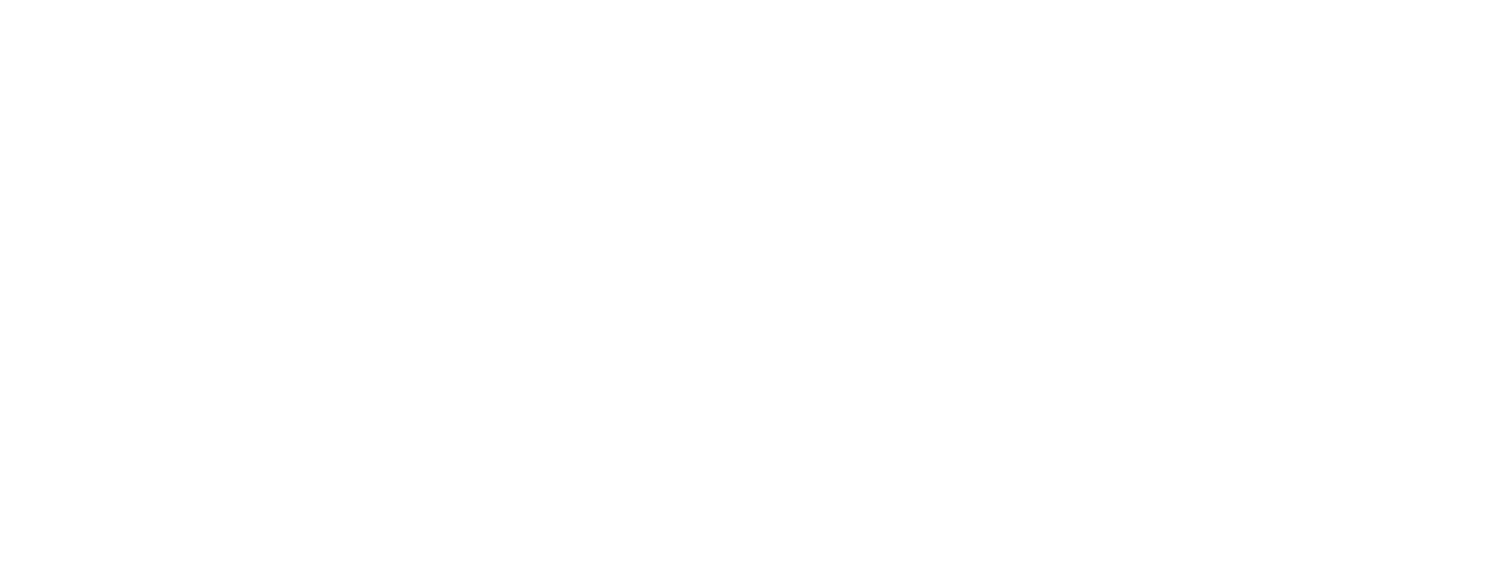 Our Partnerships | 30 Leadership Council | 12 Operational Support Team | 12 Data Team | 2 Collective Action Networks | 3 Indicator Task Forces | 3 AmeriCorps VISTA and Interns | 2 Staff