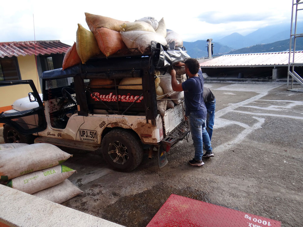 Colombian3.jpg