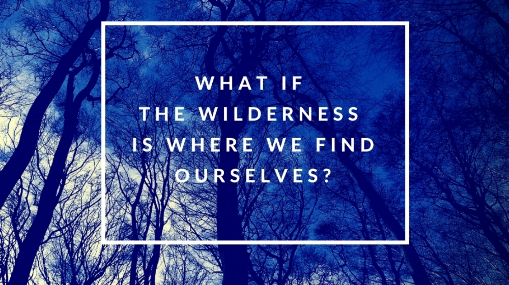 What if the wilderness is where we find ourselves_.jpg