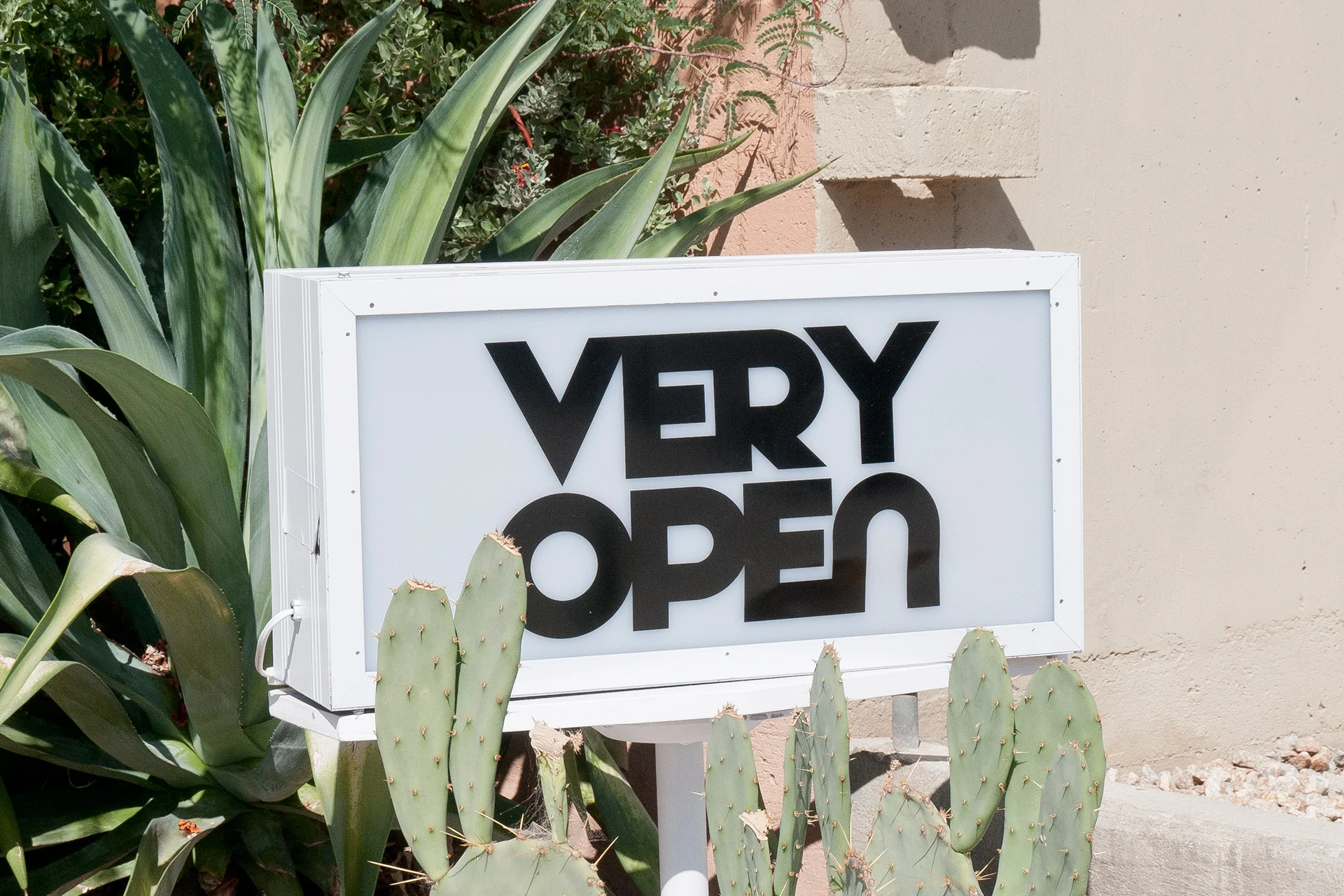 open.jpg