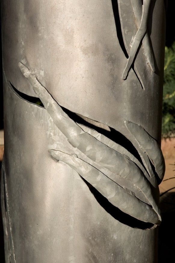 3.Dexter.detail.JPG