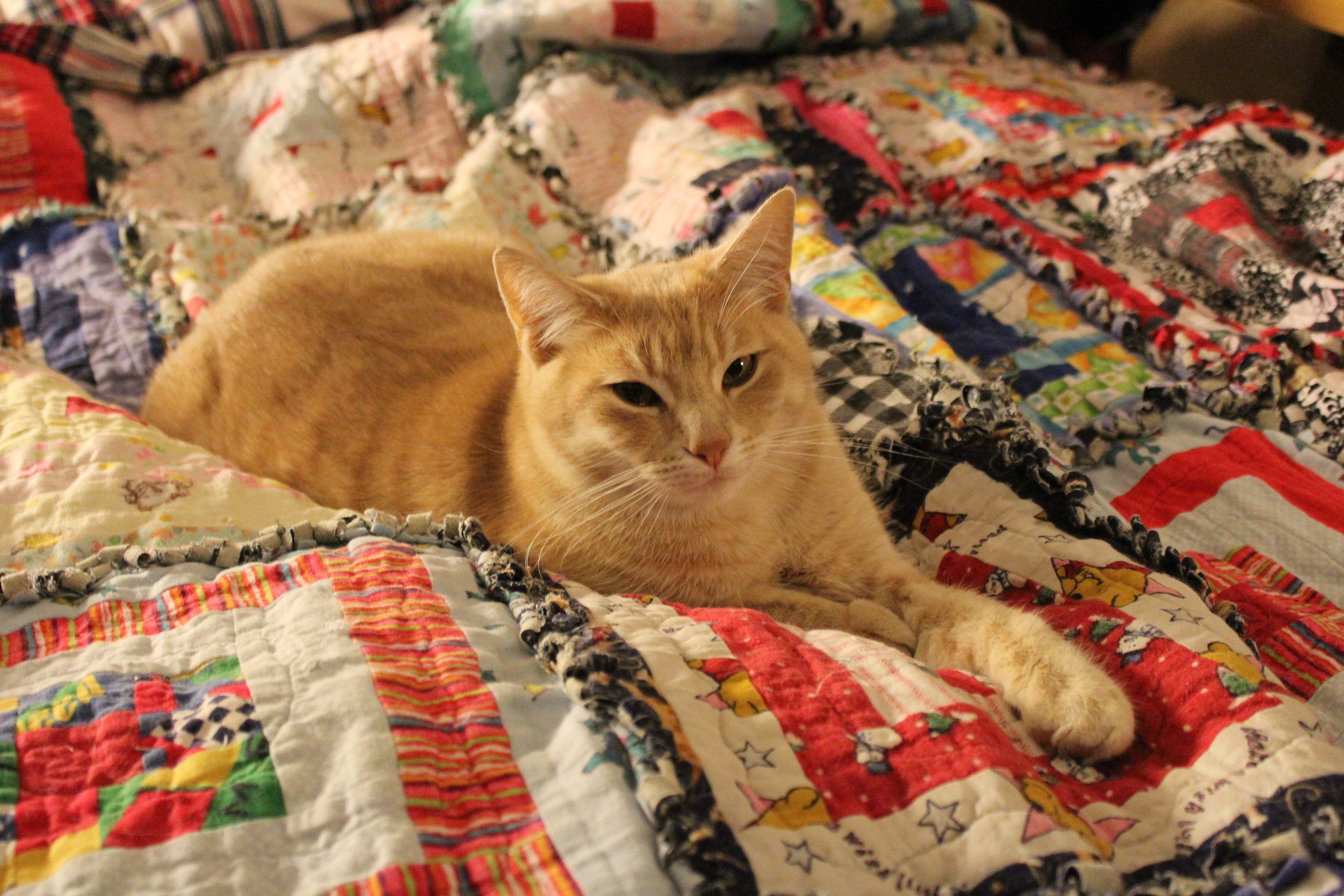 Dinsdale_quilt.JPG